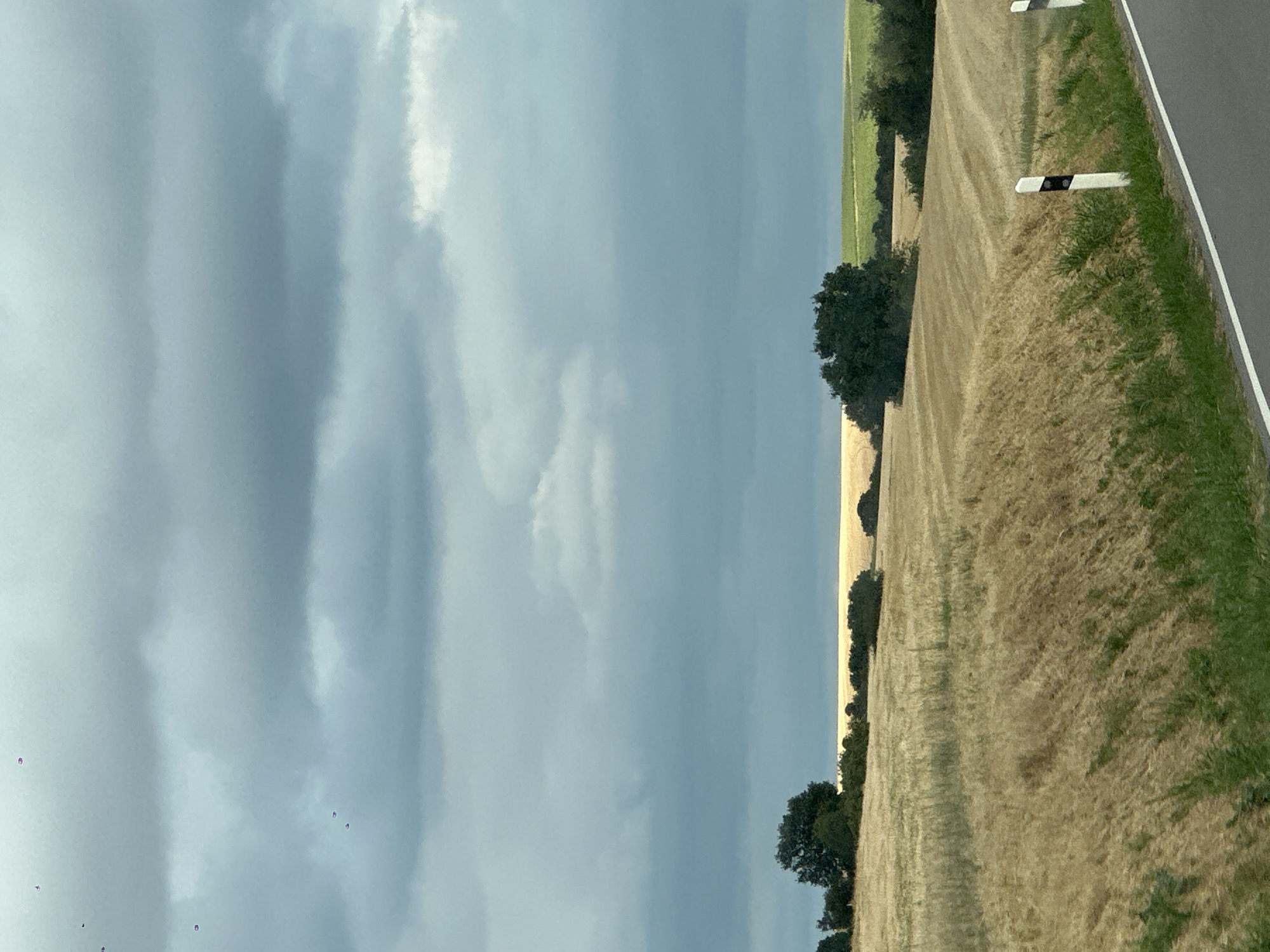 The image depicts a rural landscape under a cloudy sky, likely in the vicinity of Manternach, Luxembourg. In the foreground, a road with a white line marking the edge is visible, bordered by green grass and a few white and black striped markers. Beyond the road, a field of dry, golden grass, likely harvested wheat or barley, stretches into the midground. Scattered trees and bushes dot the landscape, with a prominent clump of dark green trees on the left side of the image. In the distance, further fields with a golden hue are visible, contrasting with a strip of bright green farmland. The sky is filled with heavy, grey clouds, suggesting overcast or potentially stormy weather. There are no people or animals visible in the frame.