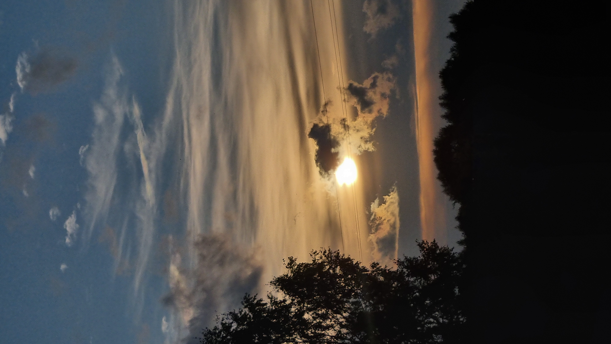 This vertical, low-angle photograph captures a sunset over a silhouetted landscape in Vysokoe, Russia. The sky is a gradient of blue and orange, with streaks of clouds that reflect the sun's golden light. The sun itself is partially obscured by a dark cloud, creating a bright, diffused glow. In the foreground, a dark silhouette of a tree stands to the left, its branches reaching towards the sky. A thin line of power lines stretches horizontally across the middle of the frame. The lower portion of the image is dominated by the dark silhouettes of trees forming a dense forest line. The overall mood is serene and atmospheric, indicative of the end of a day.