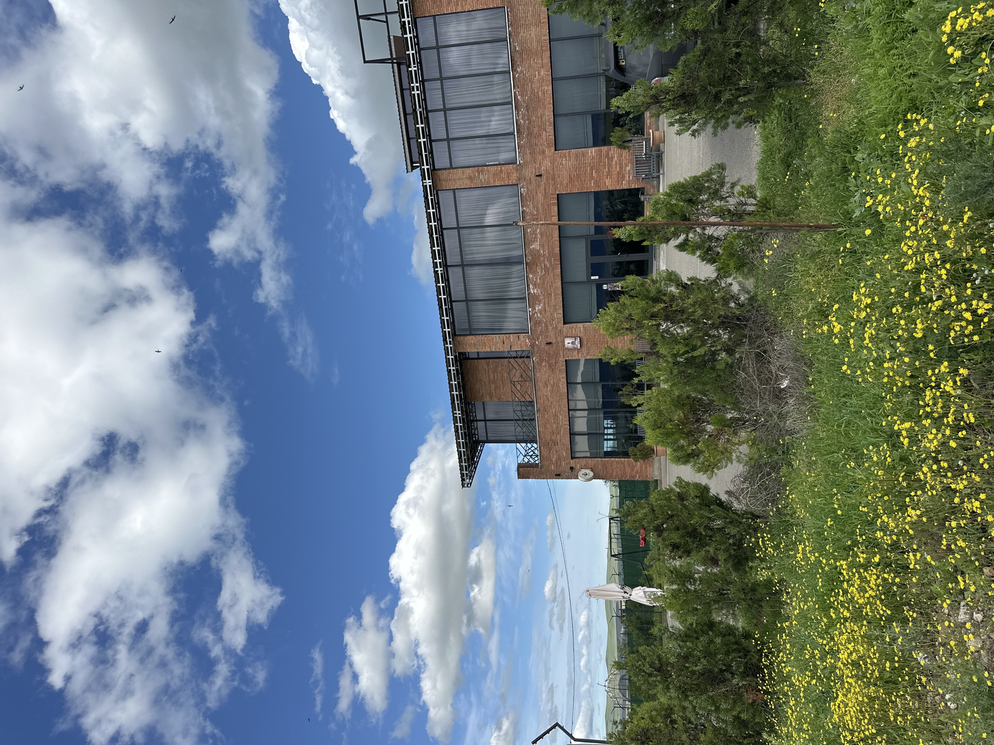 The image shows a three-story brick building in Marneuli, Georgia. The building has large windows and a metal roof. A patio is on the ground level. The building is surrounded by green grass and trees with yellow flowers. A blue sky with white clouds is above the building. The camera angle makes the image appear as if rotated 90 degrees.