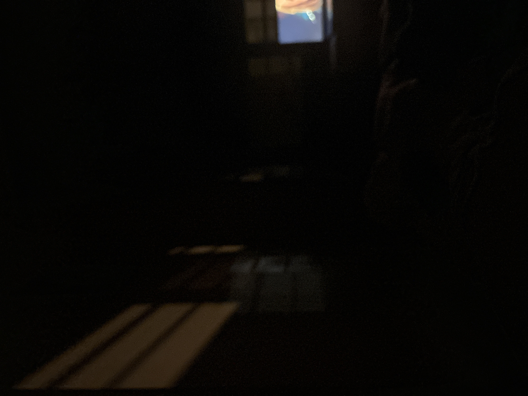 The scene is very dark, but light coming through window blinds is visible in the lower left. In the center, in the background, is a screen of some kind (possibly a tv) is lit. In the right background are blurry shapes that may be part of a plant, and potentially the suggestion of a person. The location in Budva, Montenegro is unknown.