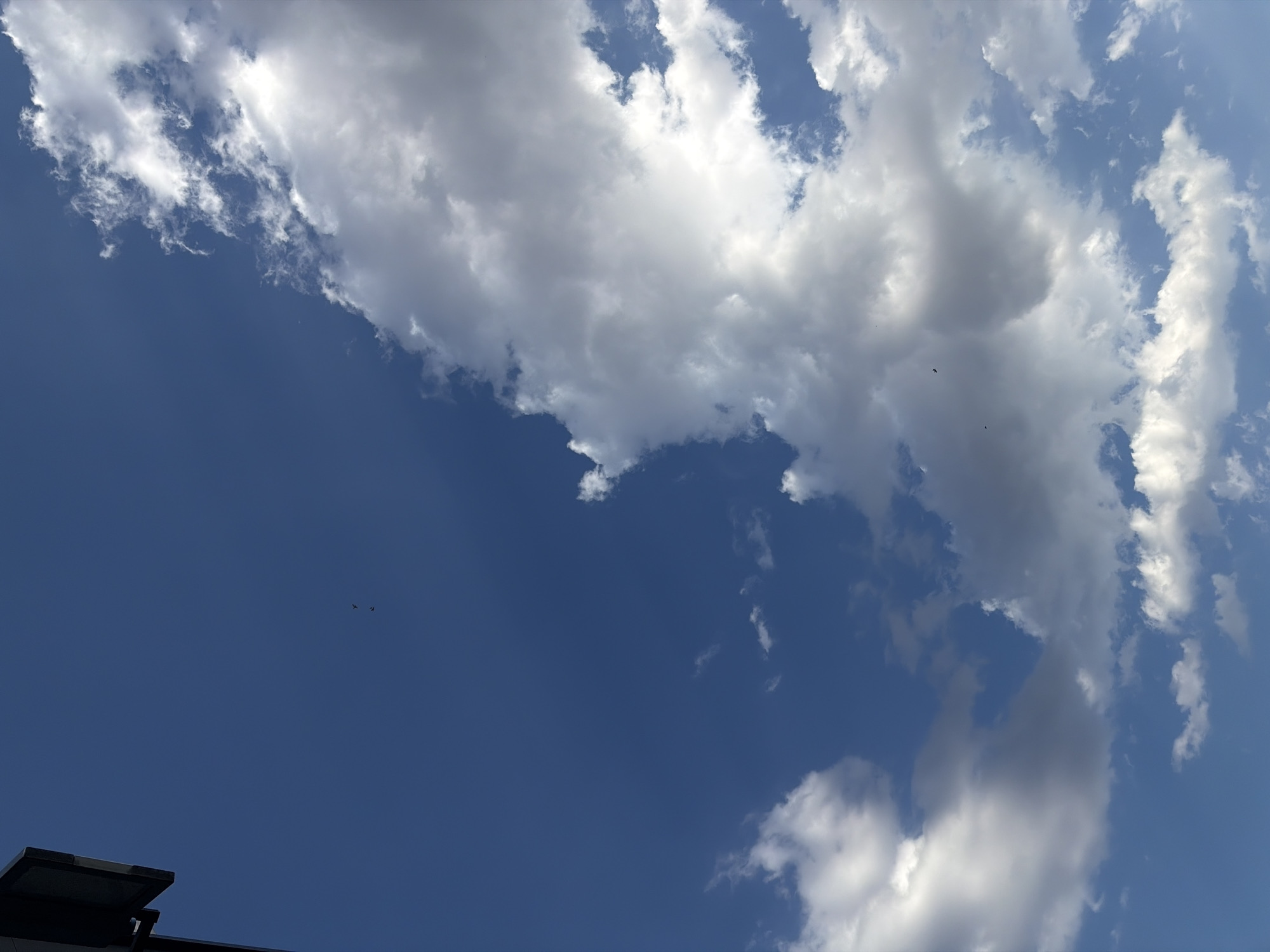 A wide-angle, low-angle shot captures a vast expanse of blue sky dotted with fluffy white and grey clouds, suggesting a partly cloudy day. In the upper left corner, a dark, rectangular object, possibly part of a building or structure, intrudes into the frame. Two small, dark figures, likely birds or paragliders, are visible in the upper portion of the sky, silhouetted against the blue. The clouds are dense and varied, with some appearing bright and illuminated by sunlight, while others are darker and shadowed, creating a sense of depth and texture. The overall scene evokes an open-air environment, possibly in Elin Pelin, Bulgaria, given the context.