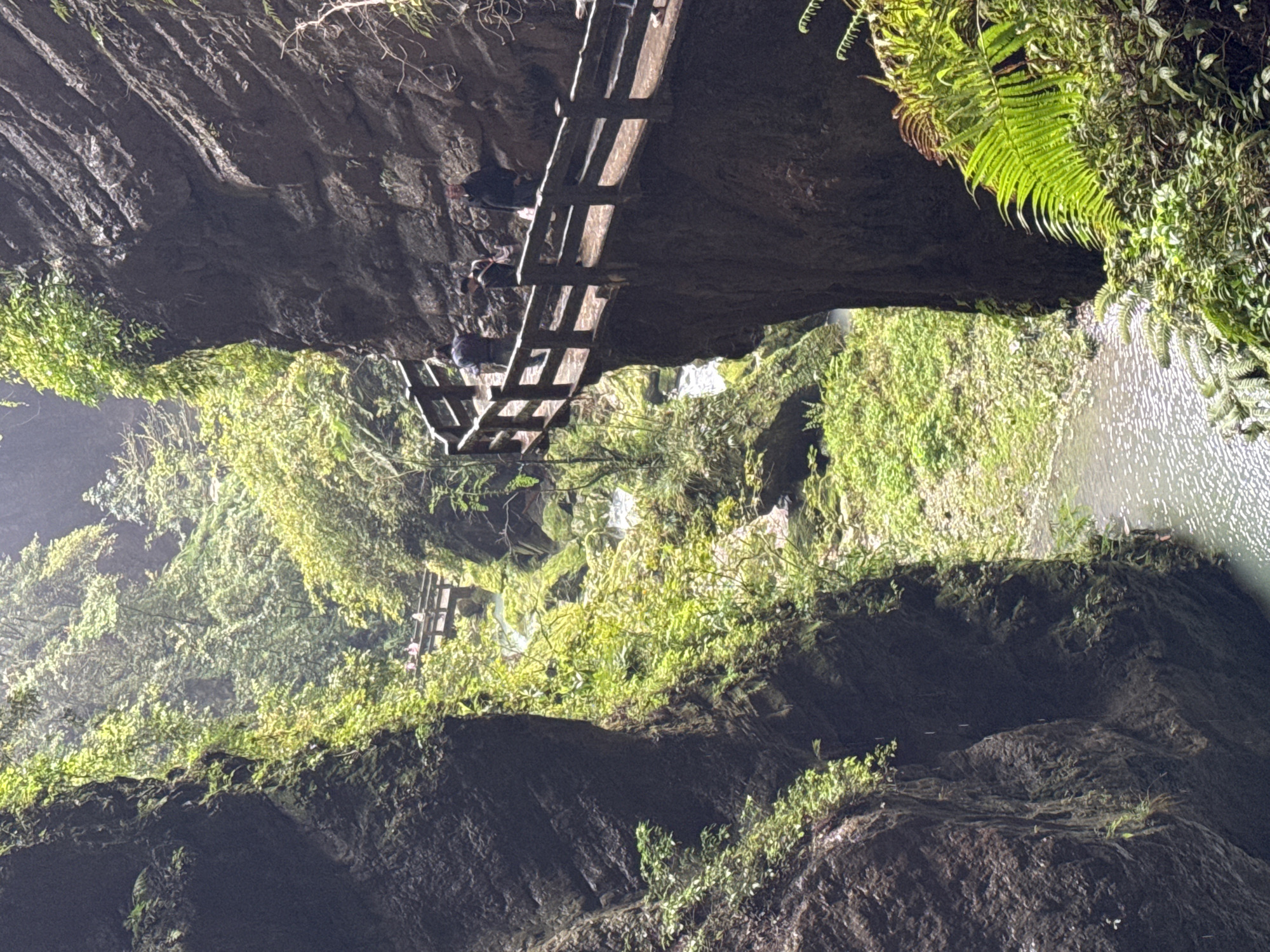A low-angle outdoor shot in the Wulong District, China, depicts a deep, lush gorge. A wooden walkway with people on it clings to a cliff face. The gorge is densely vegetated with green plants and ferns. A river runs through the bottom. The rock cliffs are dark and rugged.