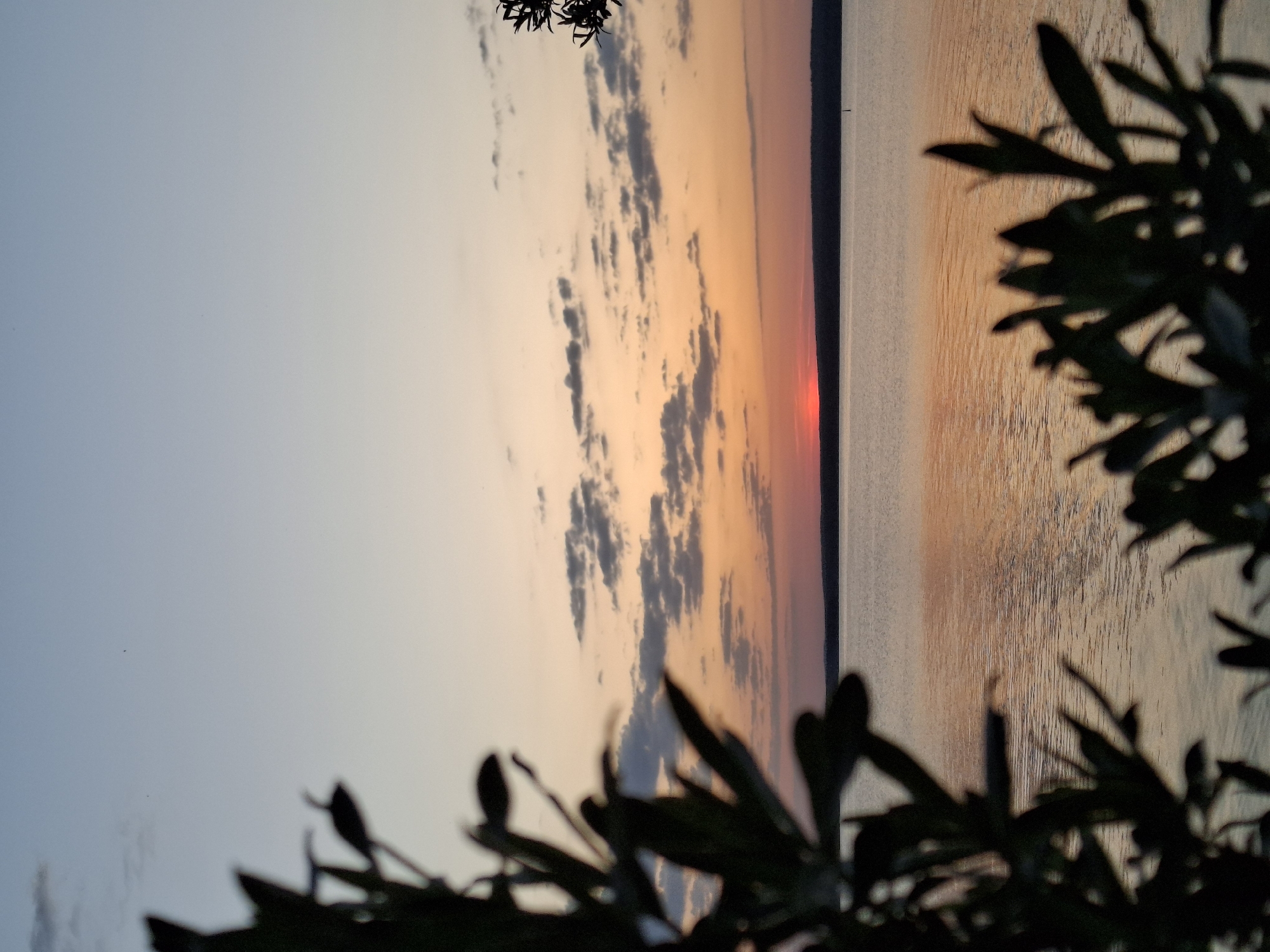 The image depicts a sunset over water, possibly a lake or wide river. Silhouetted tree branches frame the scene in the foreground. The sky transitions from pale blue on the left to orange and red near the horizon, with scattered clouds visible. The water reflects the colors of the sunset. A dark line on the horizon may indicate the opposite shore. The location is likely Chaikovsky, Russia, although specific landmarks are not visible to confirm this.