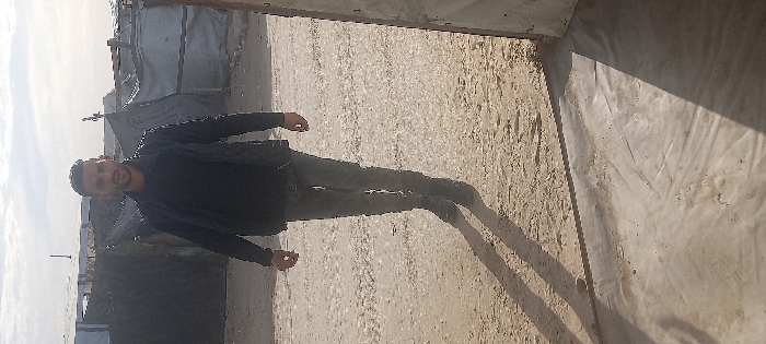 A lone adult male stands centrally on light brown, uneven dirt ground in Khan Yunis, Palestinian Territory. The male has short dark hair, a beard, and looks directly forward with a neutral expression. He is dressed in a dark long-sleeved top, a dark vest, dark trousers, and dark shoes. His elongated shadow is cast behind and to his left on the ground. The immediate foreground displays a light-colored ground covering, likely a tarp, with a dark shadow from an unseen structure entering from the right. The background consists of multiple temporary shelters, constructed from dark tarpaulins and various fabrics, indicative of an informal camp. The sky above is partly cloudy. The scene is illuminated by natural daylight, with the light source positioned to the subject's left, resulting in the visible shadows.