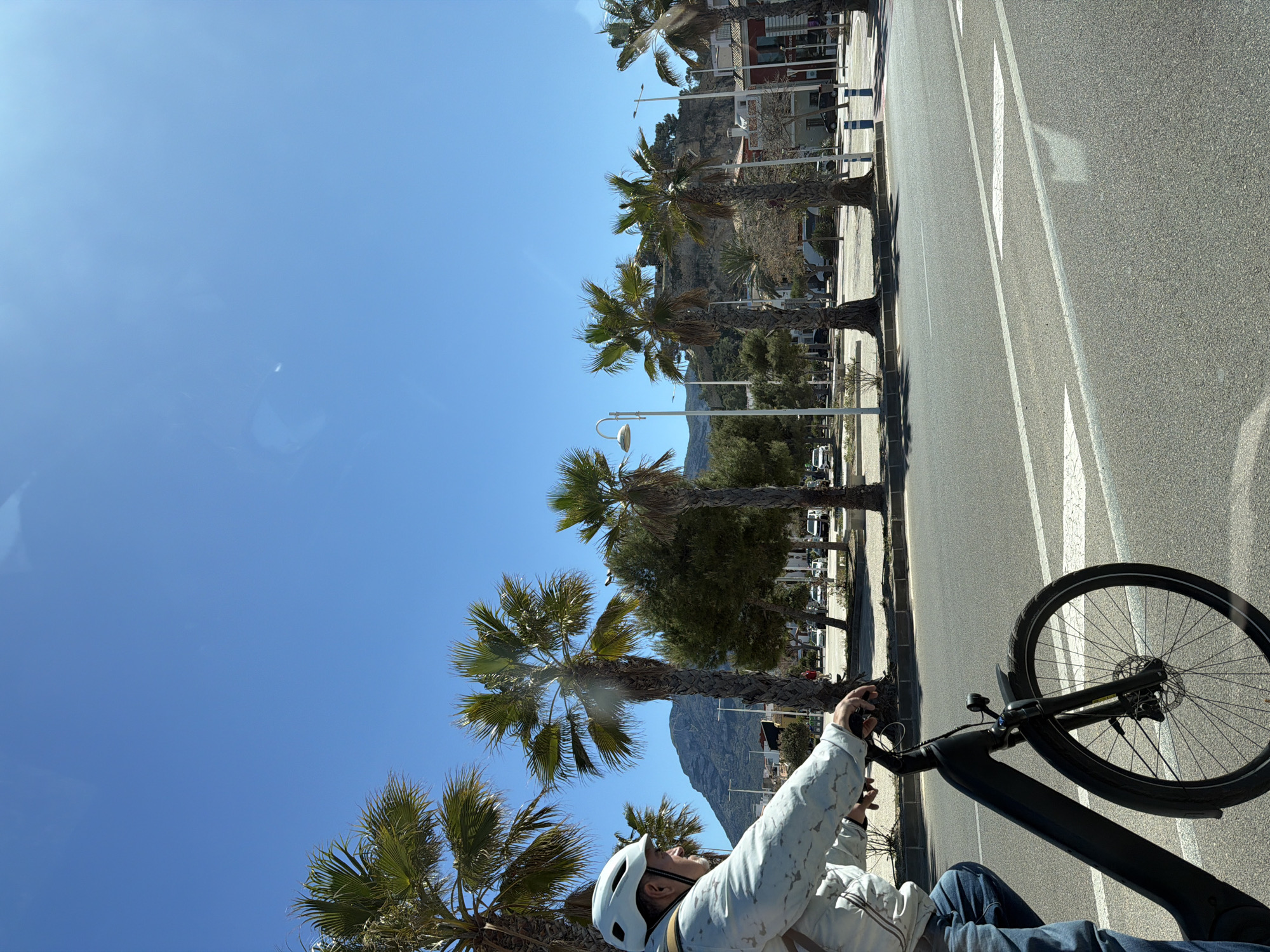 The image captures a scene in Dénia, Spain, featuring a person riding a bicycle along a coastal road lined with palm trees. The rider is wearing a white helmet and a light-colored jacket. The bicycle is black and appears to be an e-bike. The road has white directional markings and a crosswalk, indicating it's likely a marked street. The roadside includes palm trees, street lamps, and a sidewalk. In the background, a hillside can be seen. The sky is clear and blue, suggesting a sunny day. The angle of the shot is at a slight tilt, giving a dynamic perspective of the scene.