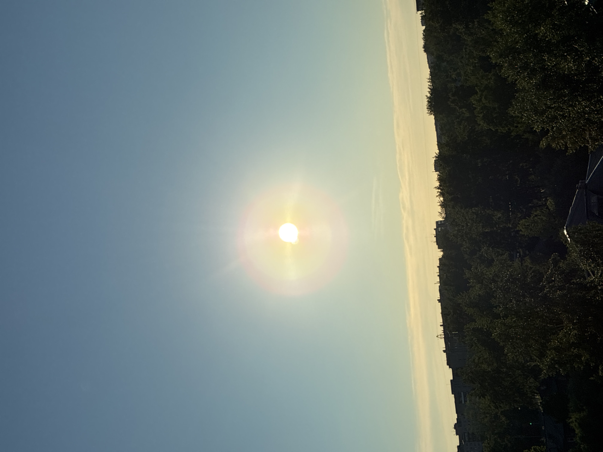 This is a vertical, eye-level, outdoor, daytime photograph of a bright sun visible in a clear blue sky. The sun is centrally located in the upper half of the frame and has a lens flare effect radiating outwards. Below the sun, a horizontal band of light yellow clouds is present across the horizon. The lower half of the image depicts a dense canopy of dark green trees, with the dark rooftops of buildings partially visible between the trees. A line of apartment buildings is visible in the background, silhouetted against the lighter sky. No people or specific actions are depicted. The environment appears to be a city or urban area.