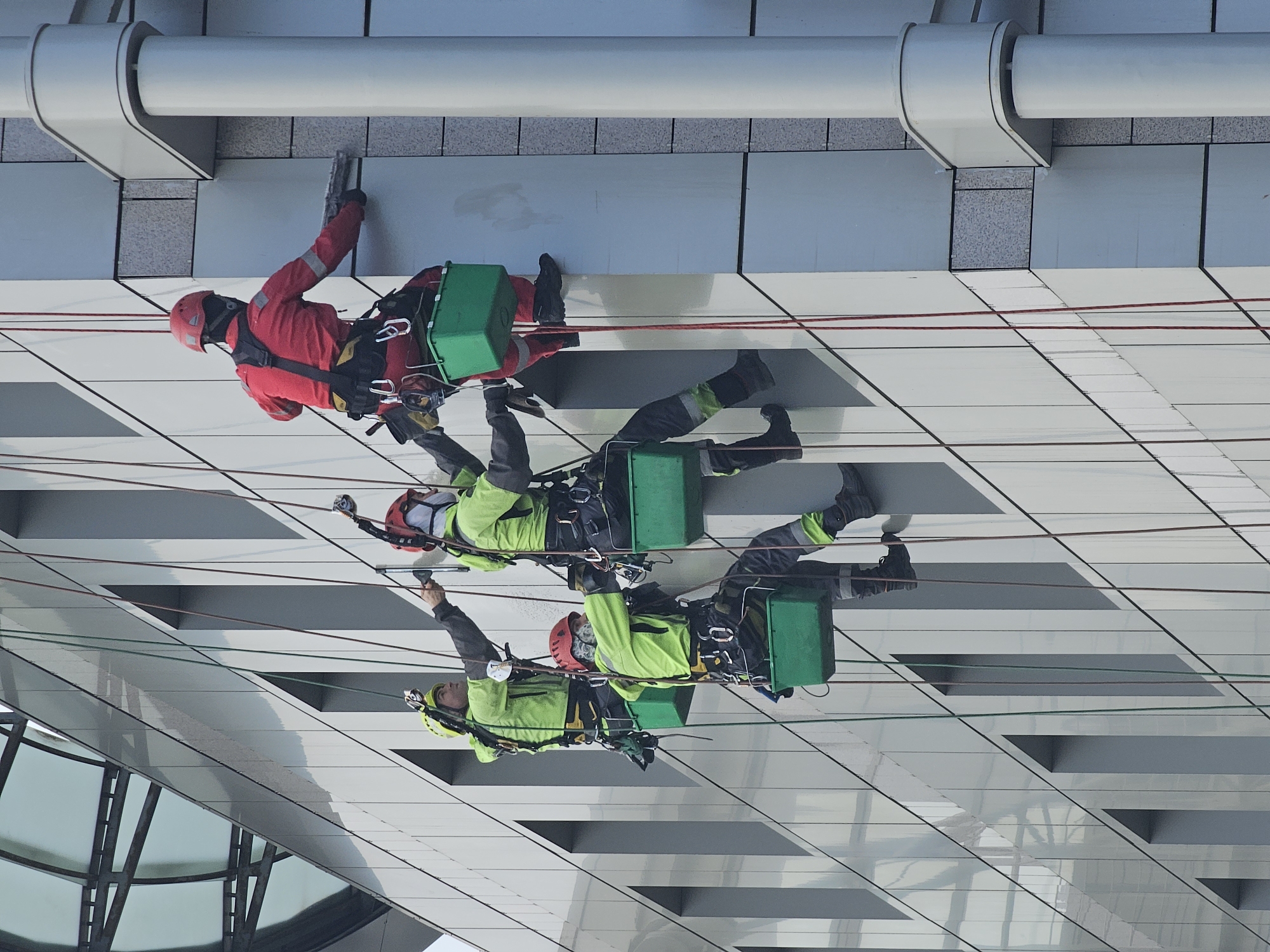 Four industrial climbers are suspended by ropes on the exterior facade of a modern high-rise building within the Moscow International Business Center (Moscow City), Russia. The building features a light grey or silver panelled facade with vertical segments, and a prominent curved glass and metal roof structure is visible in the upper left portion of the image. On the far right, a rounded white structural column is present, bordered by speckled grey panel sections.
One climber, positioned furthest right, wears a red jumpsuit and a red helmet. This individual is actively cleaning the facade using a squeegee tool and has a green utility bucket suspended below their harness. To the left, three other climbers are visible. They are attired in neon green jackets, dark trousers with reflective strips, and helmets (two neon green, one red). These three individuals are also performing facade cleaning, utilizing scrubbing tools. Each of them similarly has a green utility bucket attached beneath their harness. Multiple safety ropes, varying in color (red, green, brown), are visible extending vertically along the building's surface, securing the workers. The scene depicts ongoing high-altitude exterior maintenance or cleaning work.