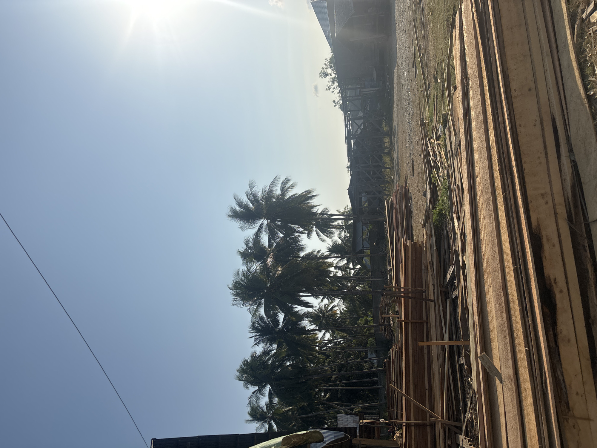 The image depicts an outdoor lumber yard in Bunto, Indonesia, under a clear blue sky with bright sun. In the foreground, numerous stacks of freshly cut lumber are neatly arranged, with some pieces lying scattered on the ground. Behind the lumber, a dense cluster of tall palm trees stands, their fronds rustling in the breeze. Further back, a partially constructed wooden structure is visible, along with a small, dark-roofed building. The ground is a mix of dirt and sparse vegetation. A single utility wire stretches diagonally across the sky. The scene suggests an active lumber processing or storage area in a tropical environment.