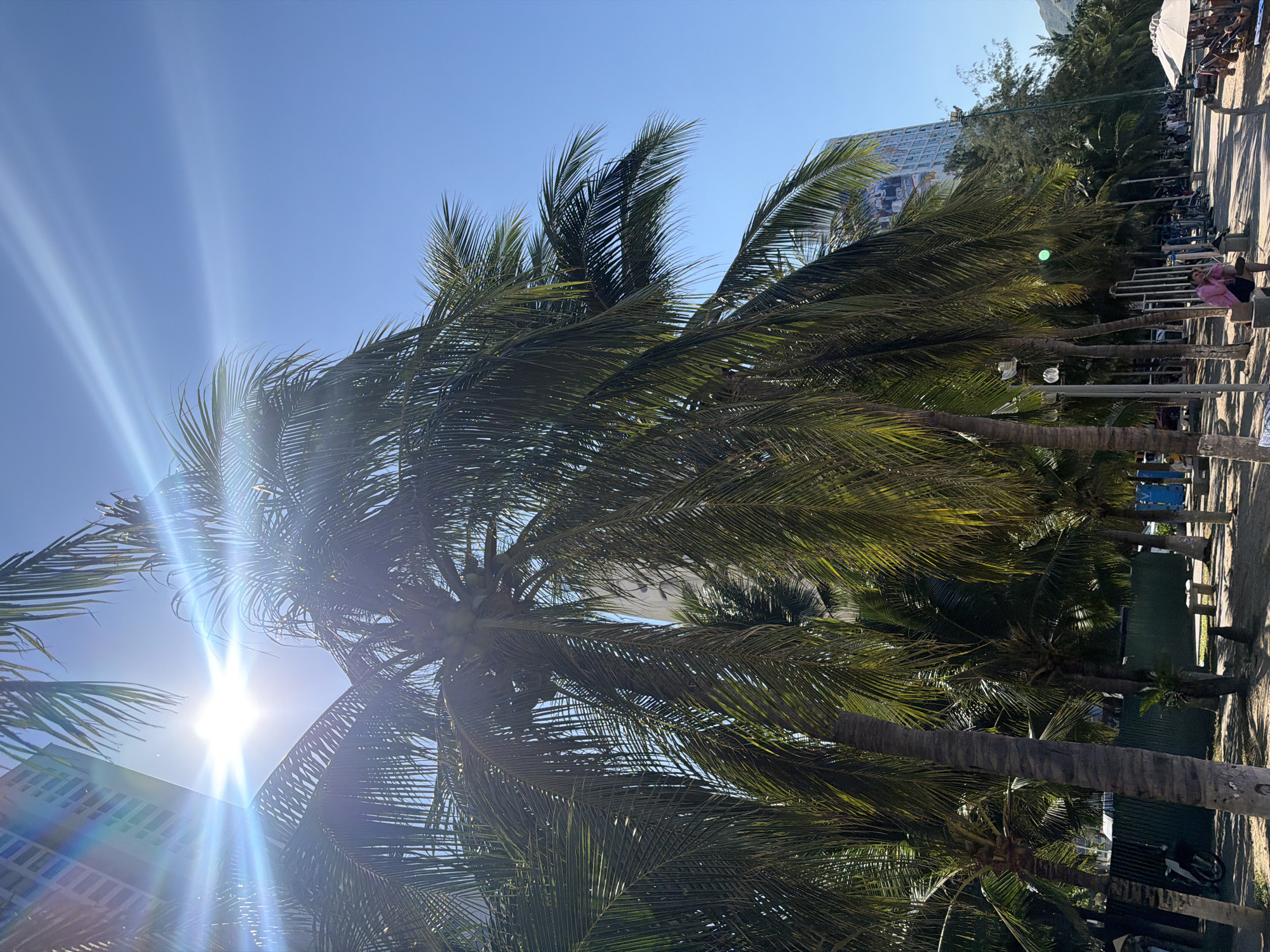 This is a sunny day scene in Bac Nha Trang Ward, Vietnam, featuring a row of tall palm trees with lush green fronds casting shadows on a sandy path. The sun is bright, creating lens flares and illuminating the blue sky. In the background, a modern high-rise building with a large mural on its side is visible. To the right, a paved walkway stretches along the coastline, lined with more palm trees and recreational equipment. People are seen on the walkway and near beach chairs under an umbrella. A bicycle is parked near a green fence on the left side of the image. The overall atmosphere is tropical and vibrant.