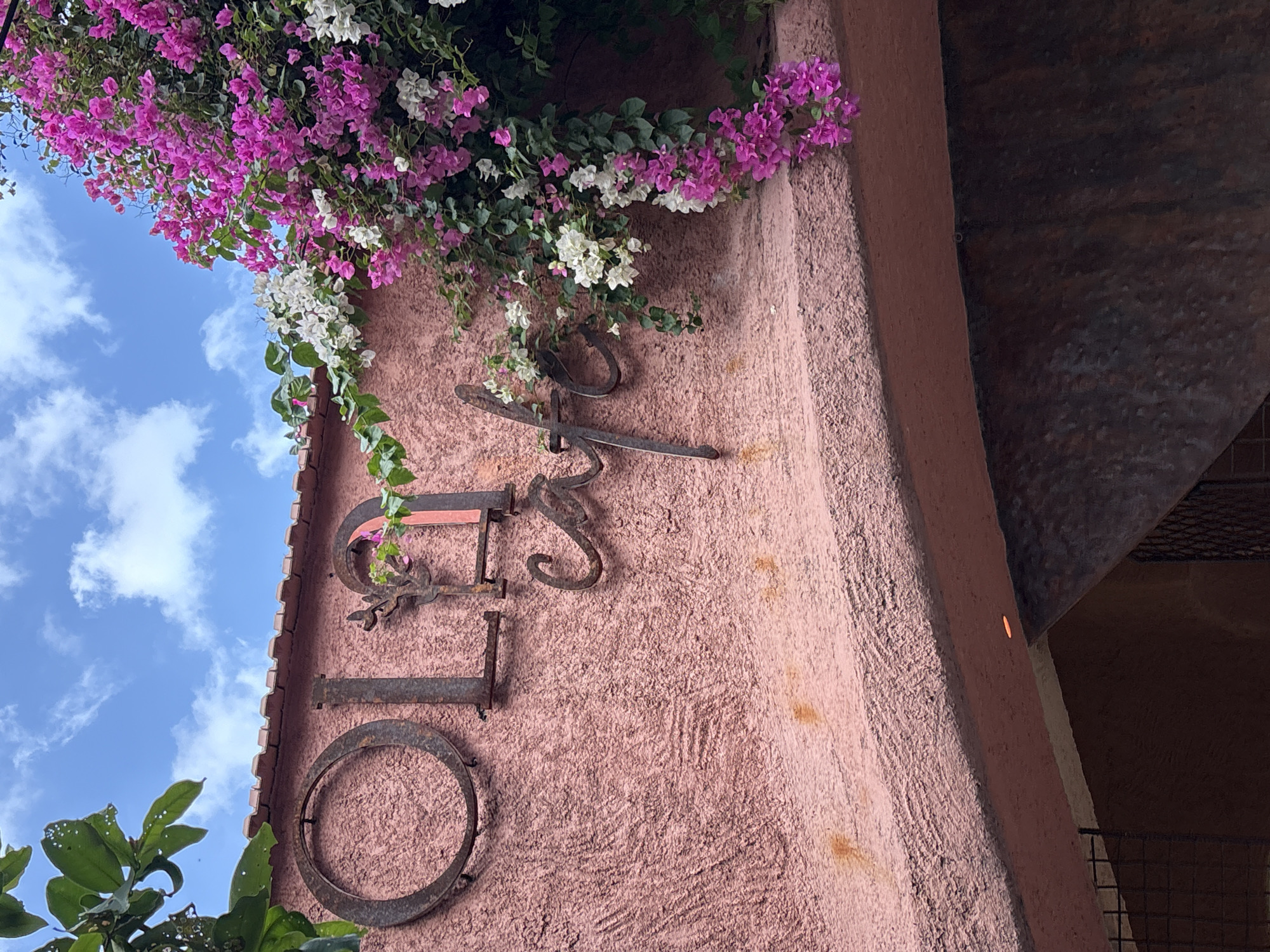 The image depicts a building exterior in Nha Trang Ward, Vietnam. The building is adorned with a sign that reads "Olé," with bougainvillea flowers cascading from above. The sign is made of weathered metal, attached to a textured pink stucco wall. The sky is visible in the upper left corner, featuring a blue hue with scattered white clouds. A portion of a shaded archway is visible on the right side of the frame. Additional foliage is present near the lower left corner.