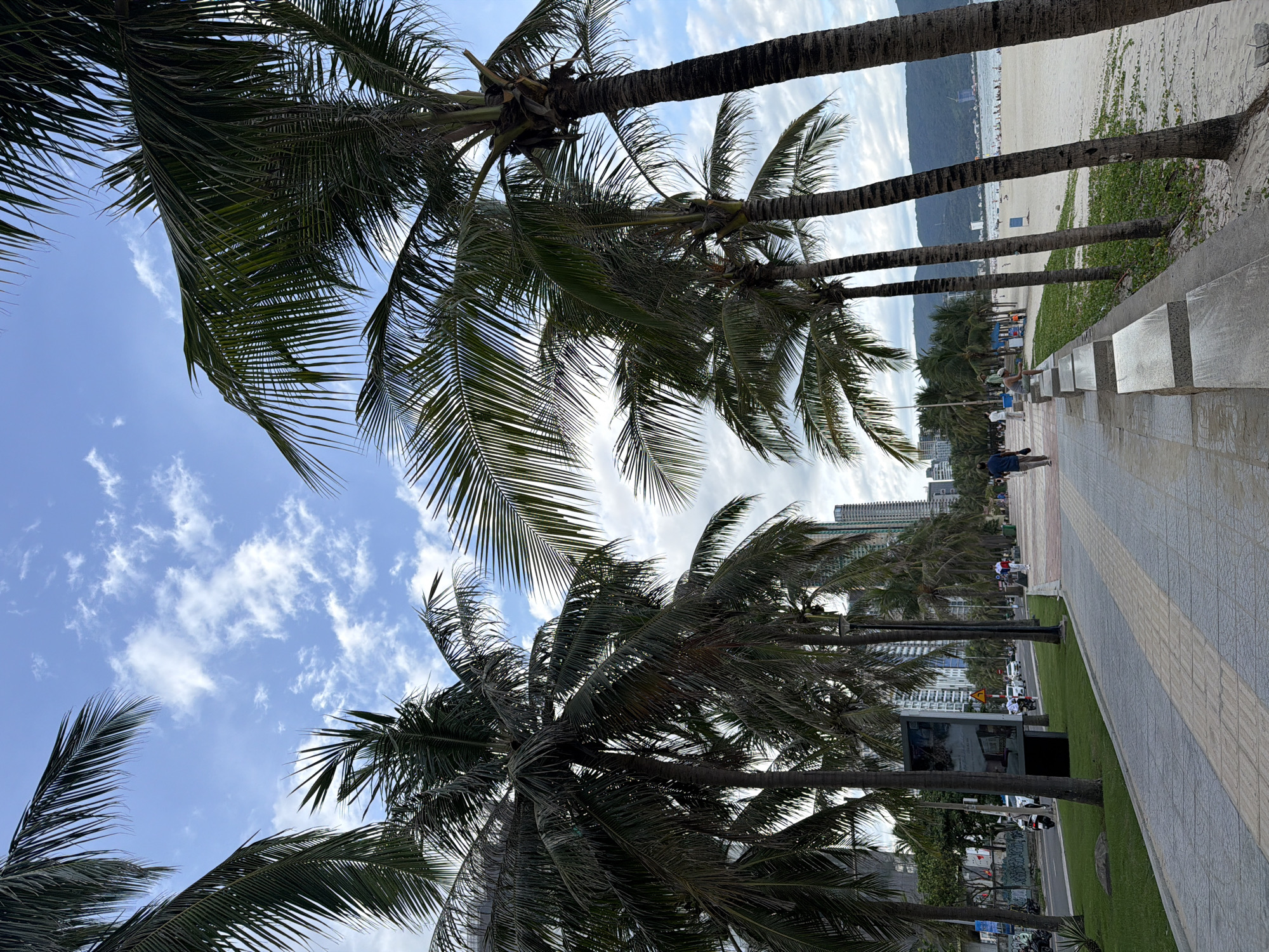 The image depicts a palm-lined promenade along a beach in Đà Nẵng, Vietnam. In the foreground, a wide, paved walkway with textured stone patterns runs parallel to a sandy beach. Several palm trees with lush fronds arch over the walkway and the beach, with their trunks casting shadows. Beyond the palm trees, the beach is dotted with people, and in the distance, the sea meets a hazy mountainous coastline. A road with light traffic, including motorbikes and cars, is visible to the left of the walkway, separated by a grassy area. Tall buildings and a cloudy sky form the backdrop to the scene.