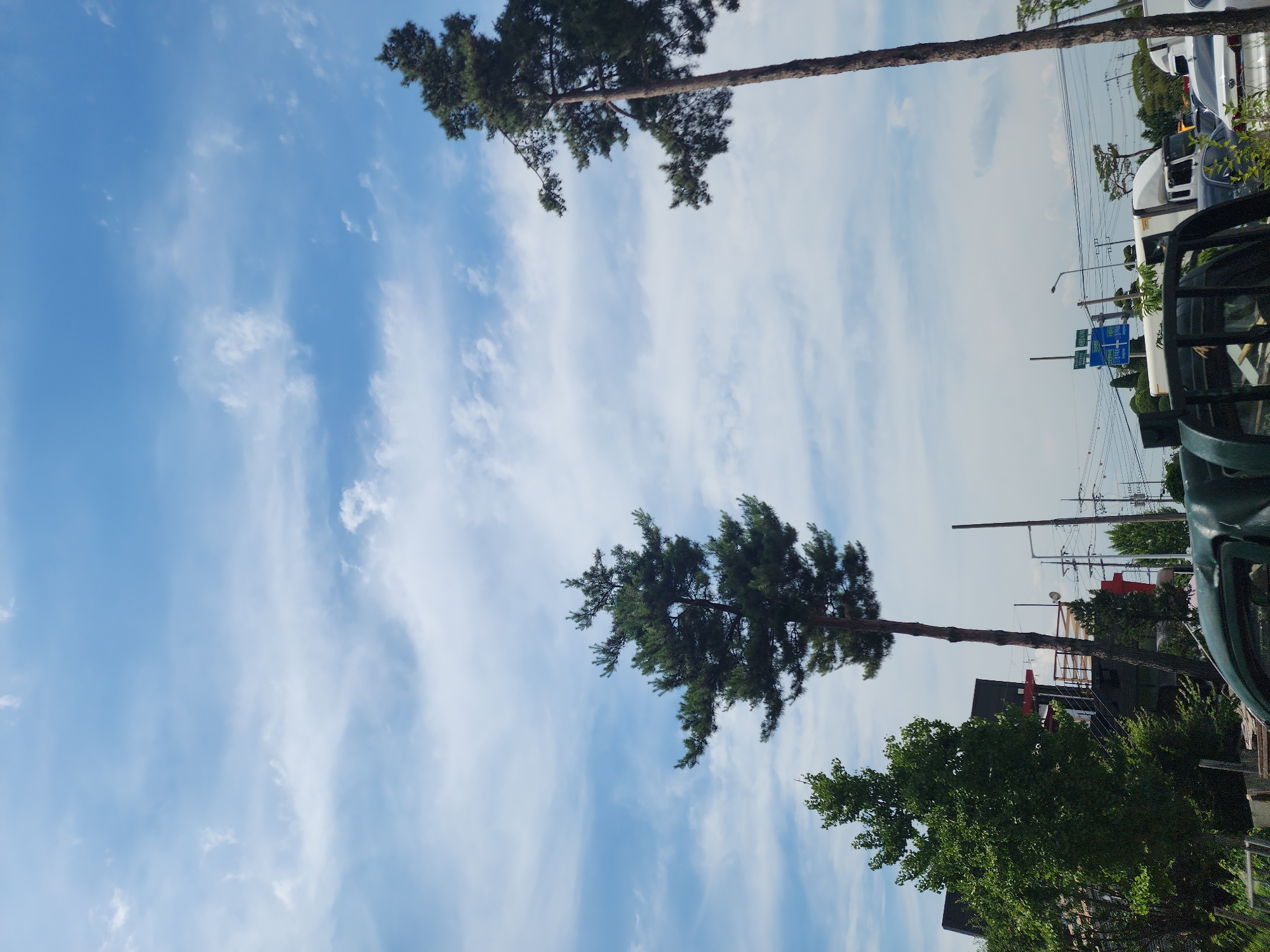 The image captures a view looking upwards towards a blue sky with scattered white clouds. Two tall pine trees dominate the foreground, with their branches reaching towards the sky. In the midground, there are buildings, electrical poles and wires, and several vehicles including trucks and cars. A few smaller trees and foliage are also visible. The scene appears to be in an outdoor urban or semi-urban environment, potentially a roadside or parking area, given the presence of vehicles and infrastructure. The time of day appears to be daytime, judging by the bright sky and illumination. The location is Pyeongtaek-si, South Korea.