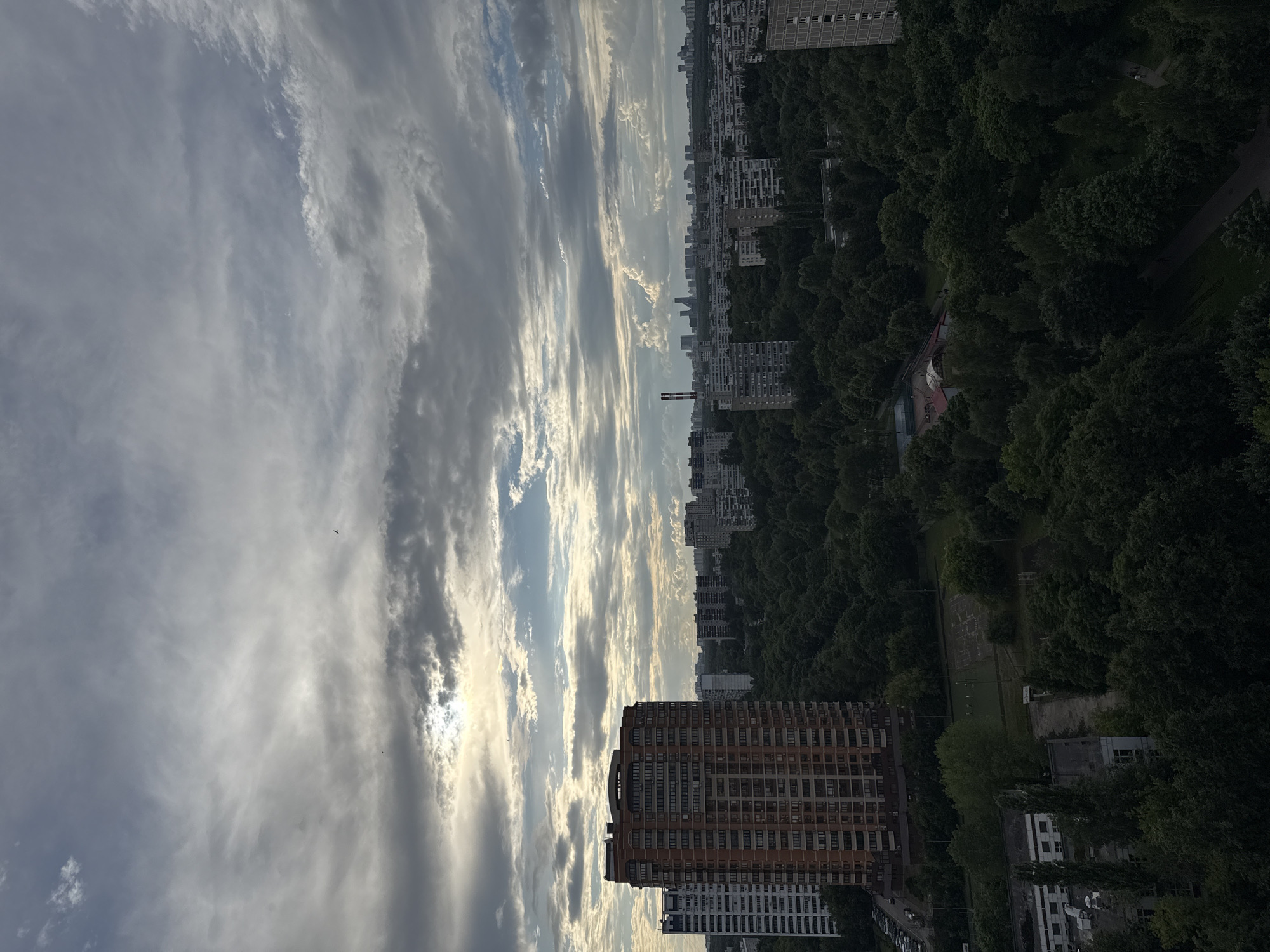 This is a high-angle, vertical, outdoor photograph of a cityscape with a focus on the sky and a densely treed area. The sky dominates the left side of the image, filled with dramatic, wispy clouds in shades of grey and white, illuminated by the sun which is partially obscured by the clouds, suggesting it is either early morning or late afternoon. The sun's rays create a bright glow, highlighting the cloud formations. A few small birds are visible in the sky.
To the right of the sky, a line of multi-story apartment buildings stretches horizontally across the mid-ground and background. These buildings vary in architectural style and color, with some appearing to be older, block-style structures and others more modern, with balconies. Dense, dark green trees form a thick canopy, covering a significant portion of the right side of the image and interspersed between the buildings. A park or recreational area with paths and what looks like a sports court is visible within the treed area.
In the foreground, a large, reddish-brown apartment building with numerous windows is prominently featured. Beneath this, other buildings and a street with a few cars can be seen. The overall scene depicts a residential area in Moscow, Russia, characterized by a blend of urban development and abundant greenery. The lighting and cloud cover suggest a dynamic weather condition, possibly a break in the clouds after rain or leading up to sunset/sunrise. No text is visible in the image.