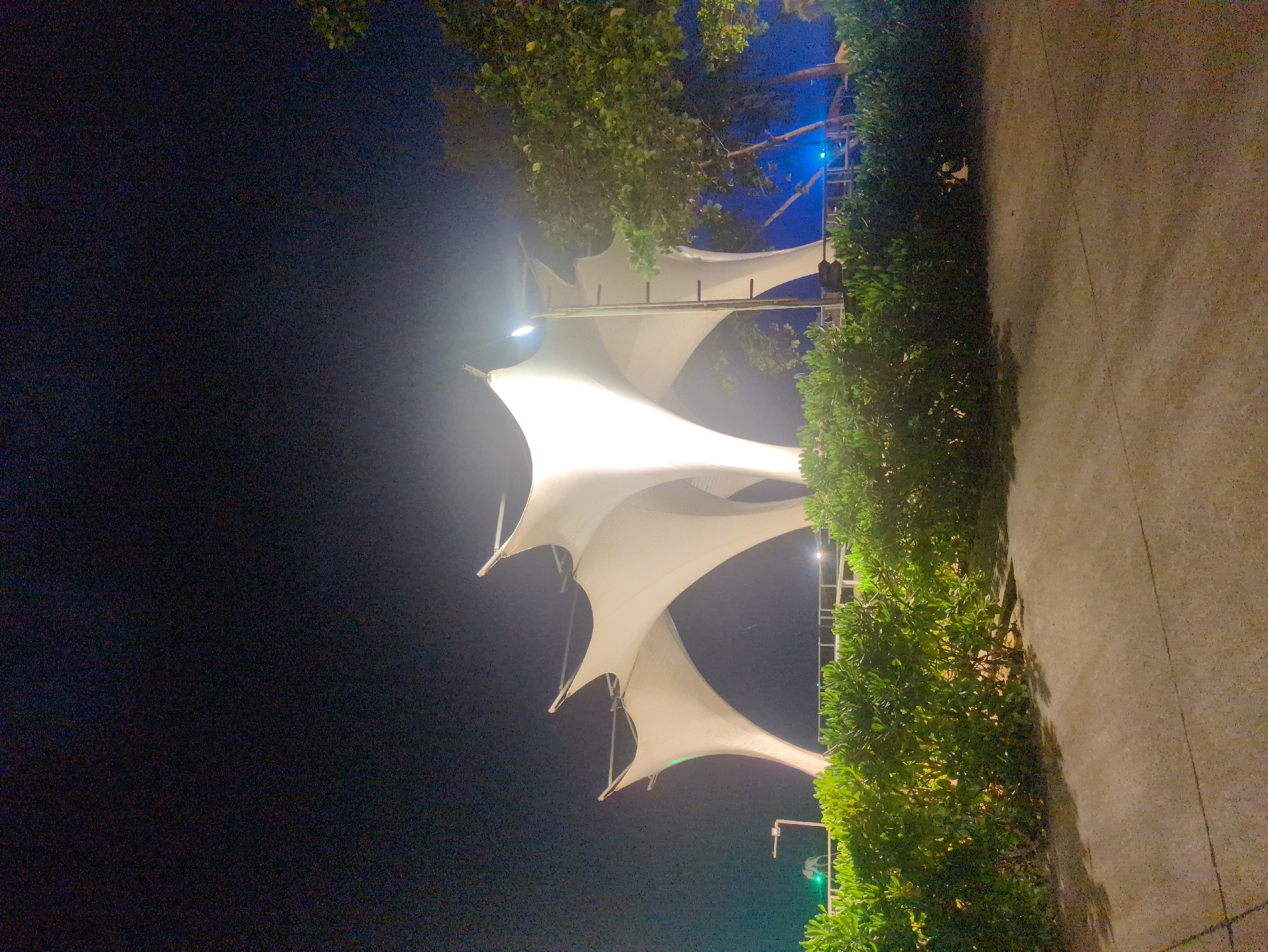 The image shows an outdoor scene at night in Phú Quốc, Vietnam. There is a series of white, sail-like structures illuminated from below, possibly a type of architectural canopy or art installation. These are positioned adjacent to a paved walkway lined with dense green shrubbery. The background is dark, suggesting a night setting. The composition is oriented vertically, with the structures appearing to be situated on the left of the image and the walkway with the shrubbery on the right. The structures appear to be situated within or near trees, as indicated by foliage visible at the top of the frame. No people are visible.
