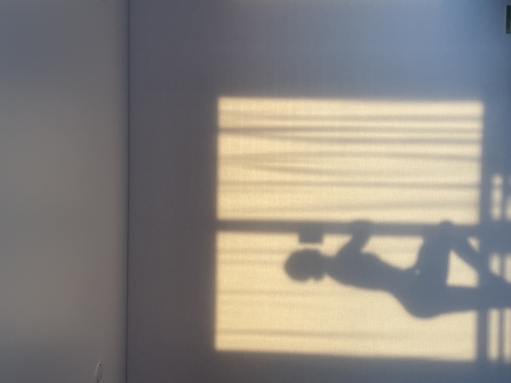 The image displays an indoor scene dominated by natural light and shadows on a plain, light gray wall. On the left, two walls meet to form an internal corner, creating a sense of depth in the room. The right side of the frame features a large, rectangular patch of warm, yellowish sunlight illuminating the wall, indicating direct light entering through a window. Within this sunlit area, distinct horizontal shadow lines are cast, likely from window blinds or a window frame.
Prominently within the sunlit patch is the dark silhouette of a person. The shadow depicts an individual, likely an adult, in a relaxed, reclining or somewhat supine position. Their head is visible, and one arm is bent, reaching towards their head, appearing to hold a small, rectangular object, possibly a mobile phone or a book. This posture suggests a moment of leisure or relaxation. To the right of the person's shadow, several strong, vertical shadow bars are cast onto the wall, which could be from a bed frame, railing, or other room furniture.
The sharpness and direction of the shadows, coupled with the warm hue of the illuminated area, indicate direct sunlight streaming into the room during the daytime, suggesting clear weather, possibly late morning or afternoon. The scene evokes a sense of calm and quiet. The setting appears to be a residential room in Podshivalovo, Russia. There is no visible text in the image.