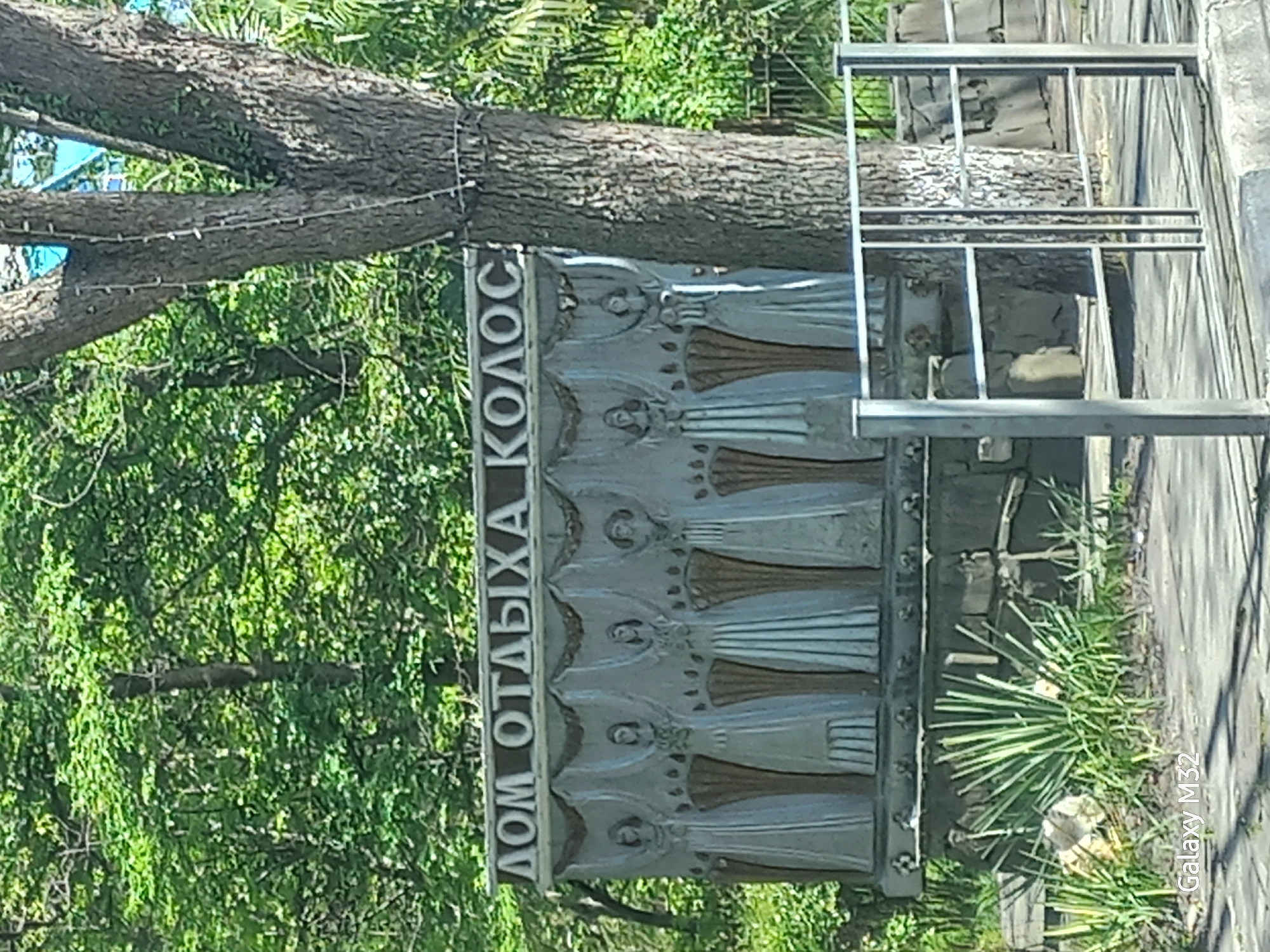 A slightly tilted, outdoor shot presents a sign that reads "ДОМ ОТДЫХА КОЛОС" (House of Rest Kolos), indicative of a recreation or holiday facility, likely located in Sochi, Russia. The sign is ornate, with figures resembling stylized angels in relief. It's mounted on a metal frame. Surrounding the sign is lush greenery, implying a garden or park setting, with a large tree trunk visible behind it. A concrete path or sidewalk is partially visible on the right. The image appears to have been taken with a mobile phone, as indicated by the "Galaxy M32" watermark at the bottom right.