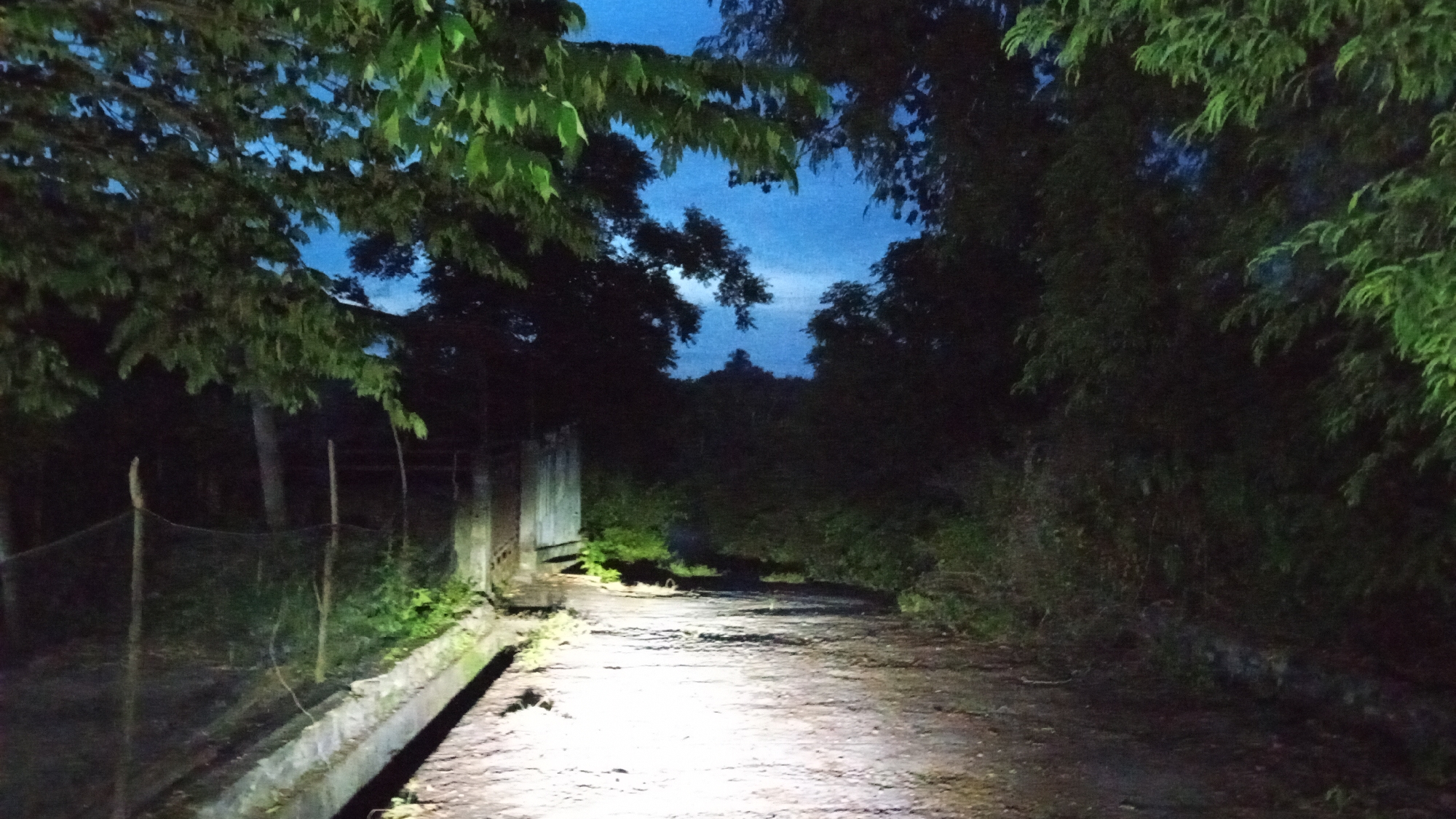 The image depicts a dirt road at dusk, with foliage bordering both sides. The sky is a deep blue, indicating twilight. A concrete drainage channel runs along the left side of the road, and a wire fence is visible behind it. Trees with lush green leaves are prominent, with some branches extending over the road. The road itself is illuminated by a bright light source, possibly a flashlight or vehicle headlights, casting a strong glow on the surface and the surrounding vegetation. The scene appears to be in a rural or semi-rural area, potentially within Buketteukuh, Indonesia, given the natural setting and vegetation. No people or animals are present in the image.
