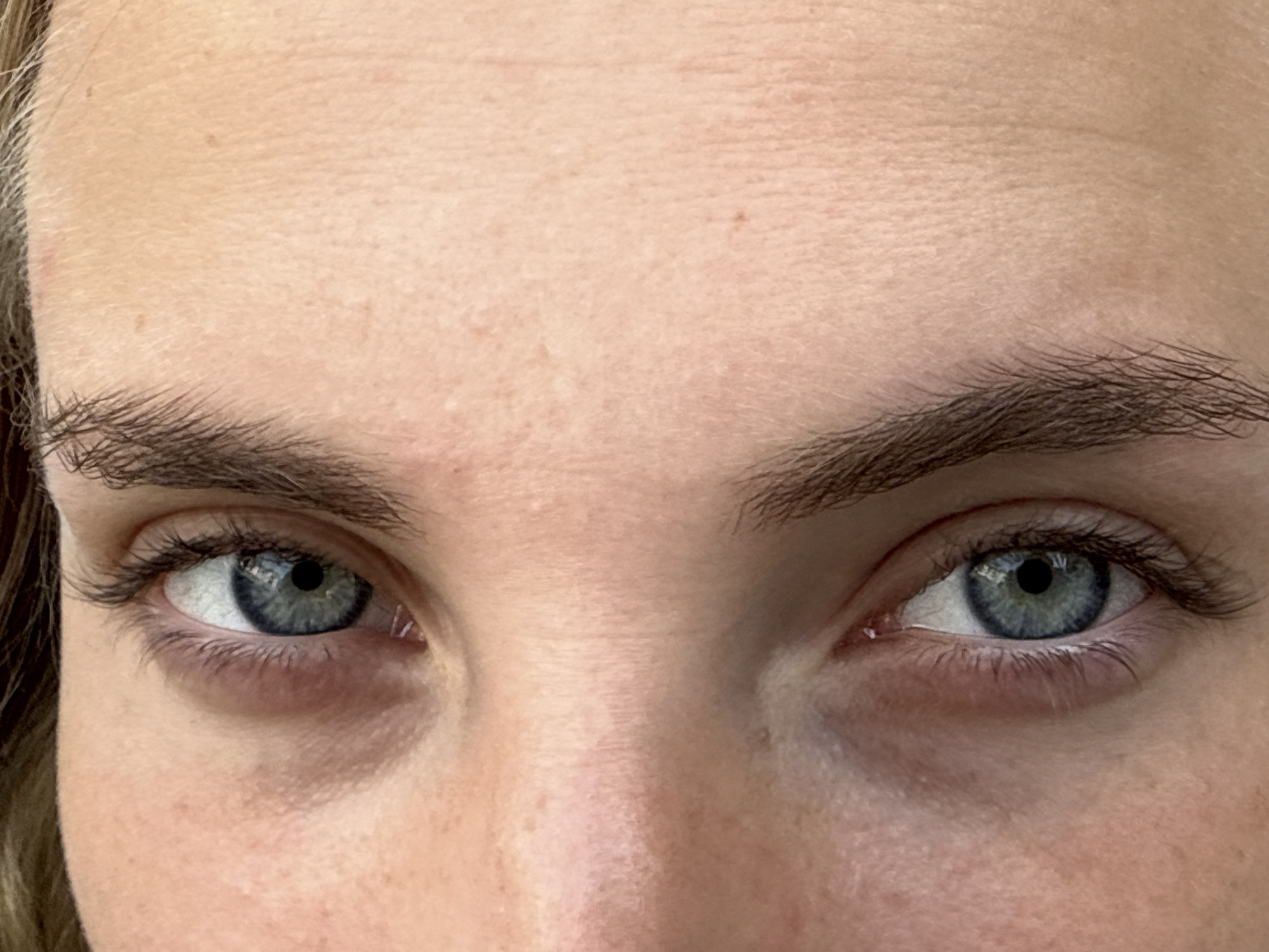This is a close-up, head-on photograph of a person's eyes, eyebrows, and upper forehead. The subject has blue eyes, dark brown eyebrows with a slightly arched shape, and light skin with visible pores and fine wrinkles on the forehead. The lighting appears to be natural and soft, casting subtle shadows. The background is out of focus and appears to be a plain, neutral surface. There is no indication of a specific location in Trieste, Italy, or any environmental context. The image is solely focused on the facial features described.