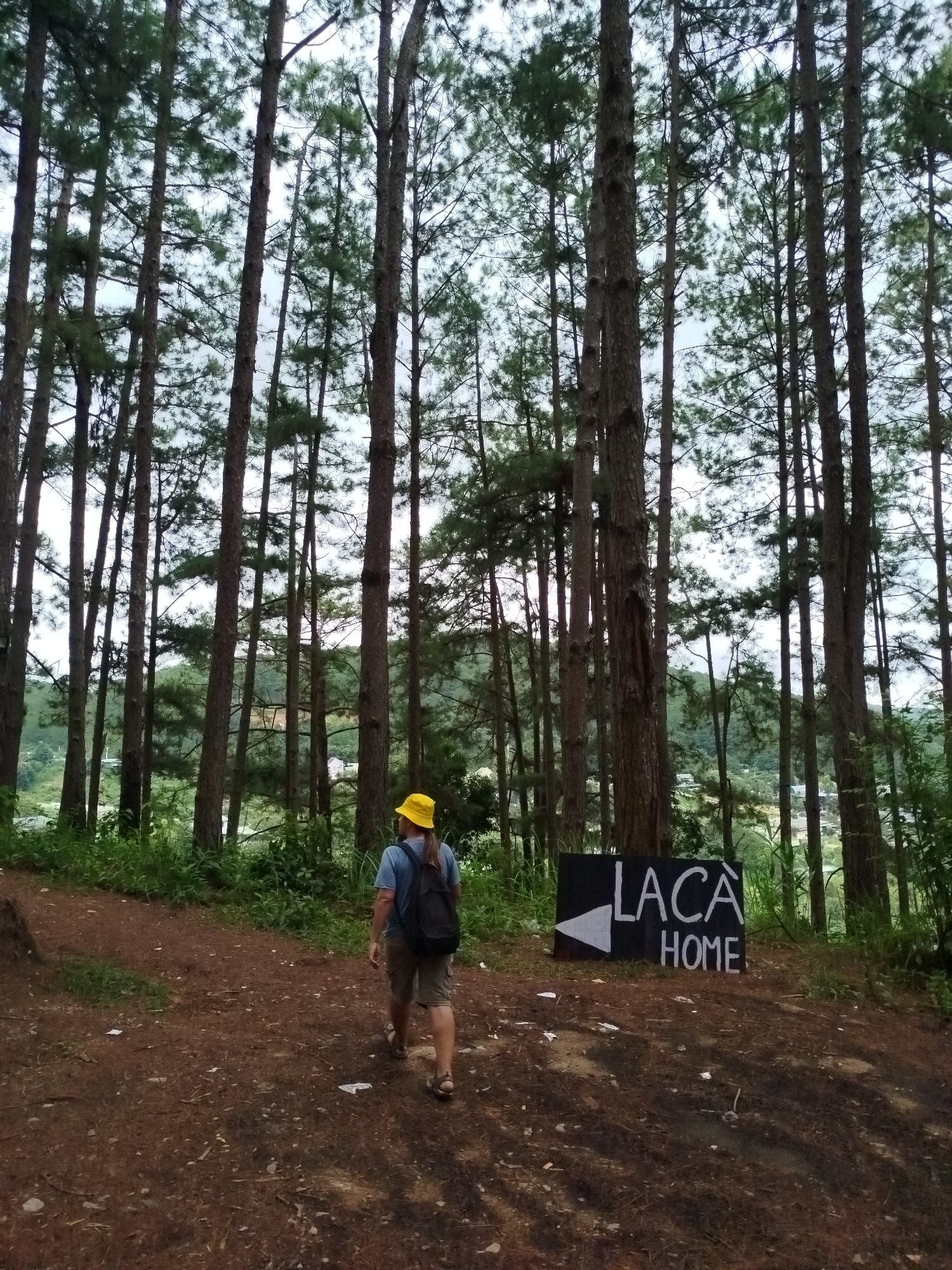 A person wearing a yellow bucket hat, a blue t-shirt, and khaki shorts walks away from the camera on a dirt path in a forest. They are carrying a black backpack and sandals. To the right of the path is a black sign with white lettering that reads "LACA HOME" and an arrow pointing to the left. The forest consists of tall, slender pine trees with a light-colored sky visible through the canopy. The ground is covered in brown pine needles and some scattered litter. In the background, there are hints of a town with buildings and green hills. The overall scene suggests an outdoor recreational area, possibly a tourist spot in Da Lat, Vietnam, known for its pine forests and cooler climate.