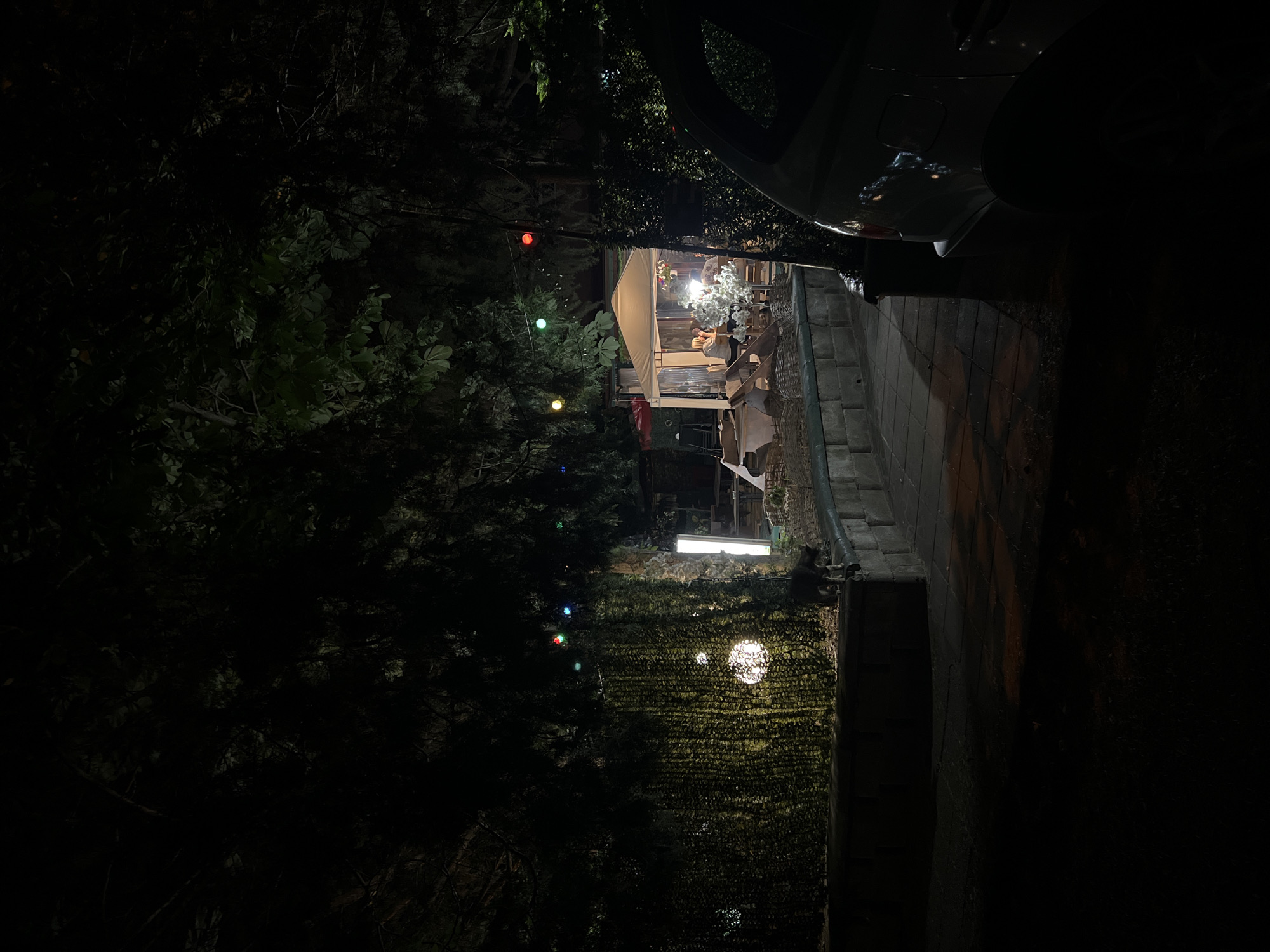 At night in Burgas, Bulgaria, an outdoor patio dining area is visible. The patio is partially covered and illuminated with overhead lighting. Tables are set, and people are seated, though details are obscured by the darkness and distance. Strings of multicolored lights are draped among the surrounding foliage. A dark-colored car is parked adjacent to the patio area. Vegetation, including trees and a vine-covered wall, forms a boundary around the dining space. A dark cat is perched atop the wall. The scene is generally dark.