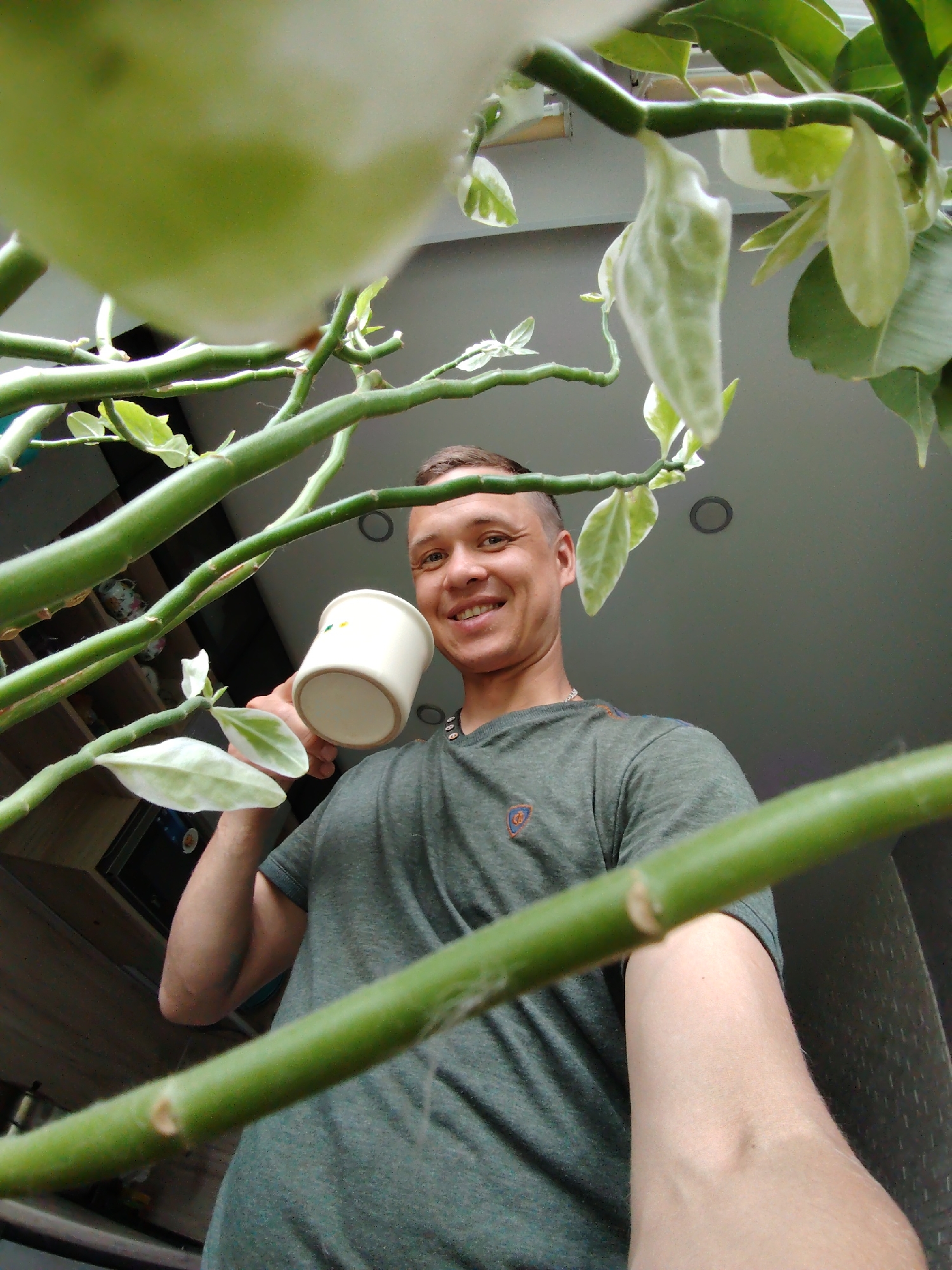 A man is holding a white mug, smiling, with a plant dominating the foreground. The plant has light green stems and some leaves with a white-green variegation. The man is wearing a green t-shirt with a small emblem on the chest. The background shows what appears to be a room interior with ceiling lights. Based on available information, this scene is unlikely to be specifically identifiable as being in Chaikovsky, Russia, without further contextual clues.