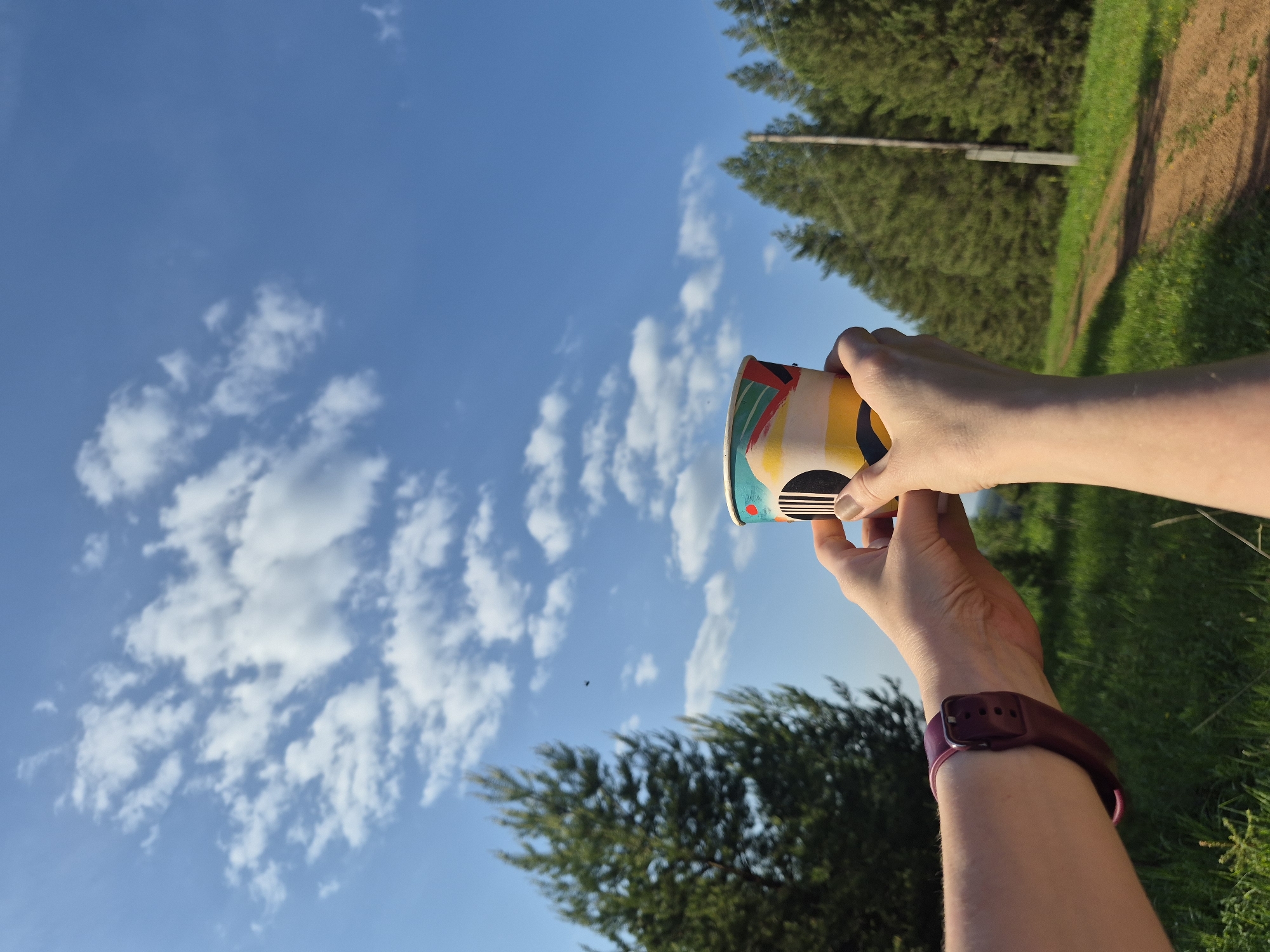 A pair of arms are holding a multicolored paper cup against a backdrop of a bright blue sky speckled with white clouds. The scene appears to be outdoors, with tree foliage visible in the background. A dirt path is also partially visible along the upper right edge. The left wrist has a dark red wristband. The location is unknown.