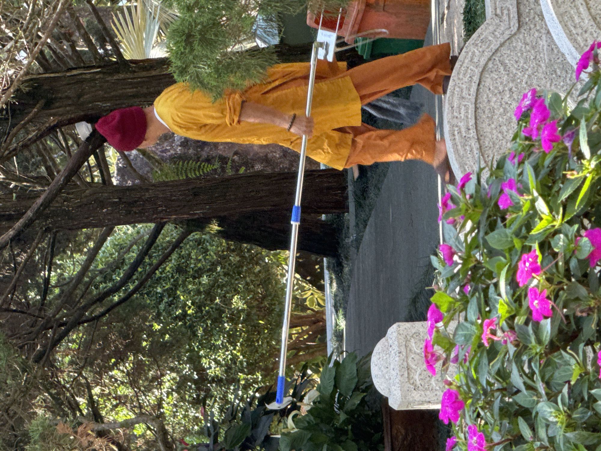 This image depicts a monk in a yellow robe and an orange hat, walking on a pathway in what appears to be a temple or monastery complex. The monk is carrying a long, silver pole with a blue handle, possibly for cleaning or tending to the grounds. The environment is lush and green, with trees, bushes, and vibrant pink flowers in the foreground. The pathway is paved with concrete, and there are some stone structures visible. In the background, there are more trees and foliage, suggesting a natural or garden-like setting. The overall scene conveys a sense of tranquility and devotion. This setting is consistent with locations in Da Lat, Vietnam, known for its numerous temples, pagodas, and lush natural landscapes.