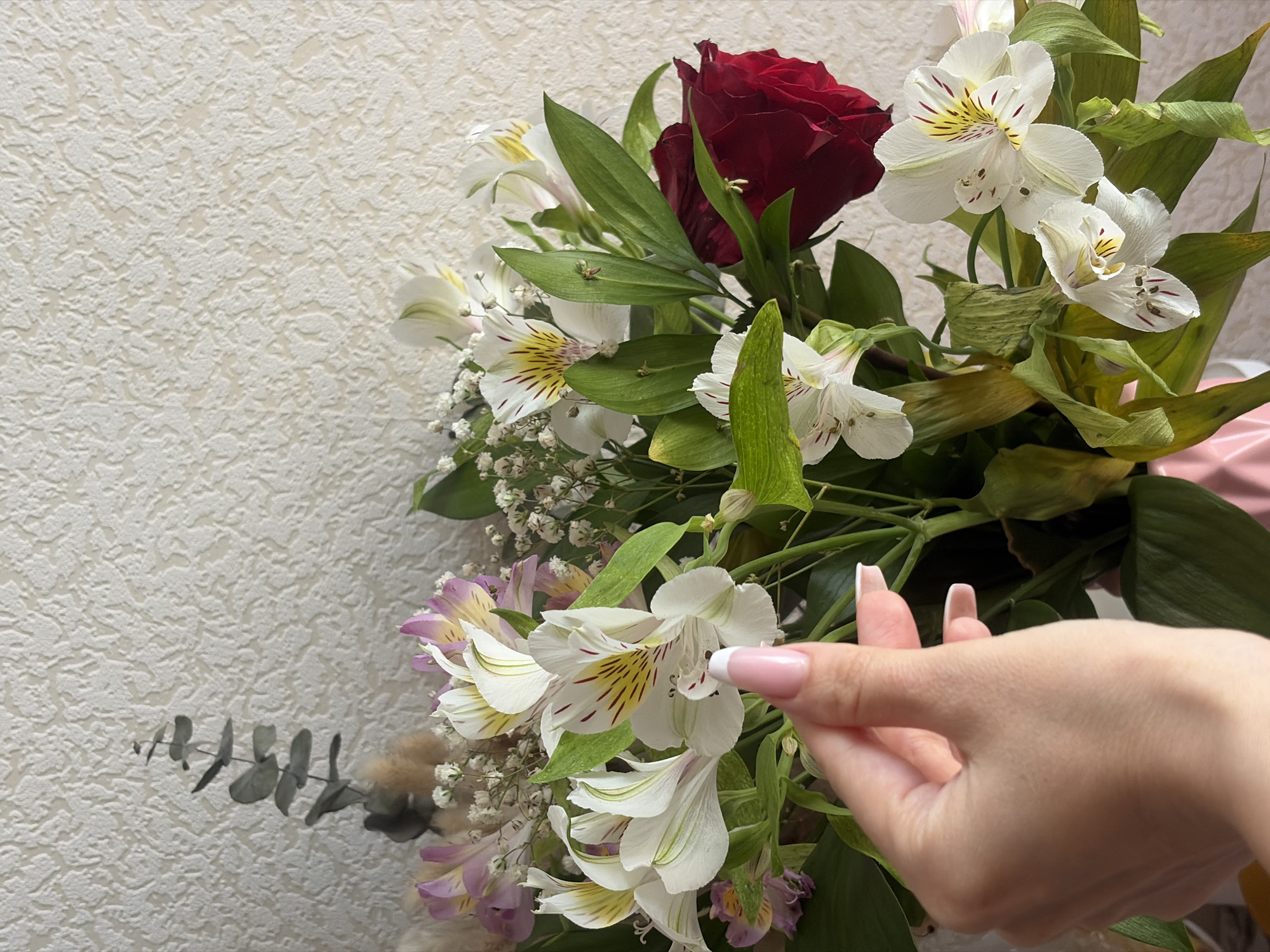 A bouquet of flowers, including a single red rose, white Alstroemeria, and baby's breath, is positioned against a textured off-white wall. A hand with manicured nails is present in the lower right, holding one of the Alstroemeria flowers. The location is not discernible from the provided image, so the city of Saint Petersburg, Russia, cannot be confirmed.