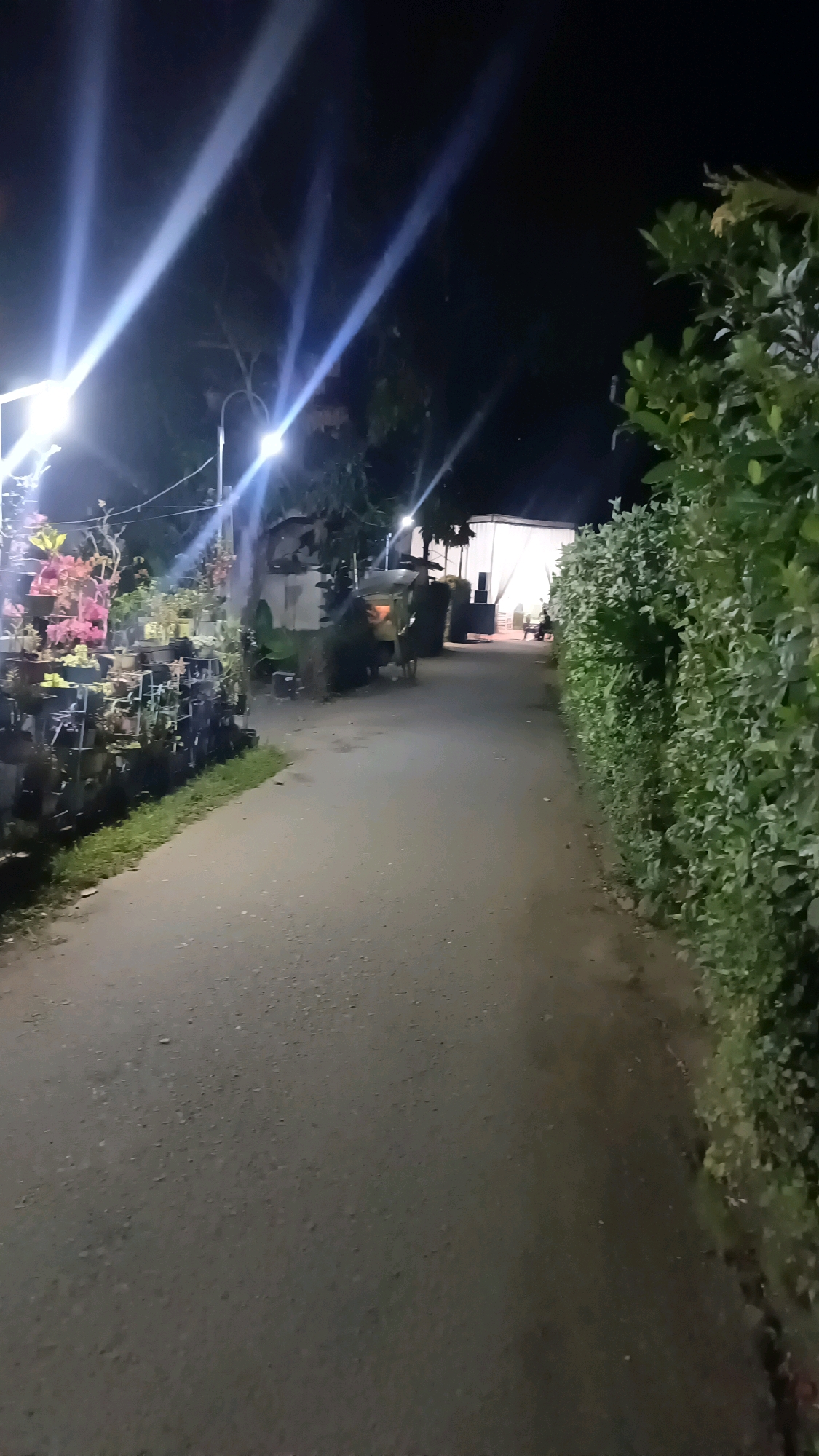The image depicts a nighttime scene on a paved road in Kebumen, Indonesia. The road is lined with a dense hedge on the right side and a display of potted plants on the left. In the background, there is a structure with white sheeting, illuminated by bright lights that create strong lens flares. A vehicle, possibly a tricycle or a small auto-rickshaw, is parked on the left side of the road, near the plants. The overall impression is of an outdoor gathering or event taking place at night, with artificial lighting significantly impacting the visibility and ambiance.
