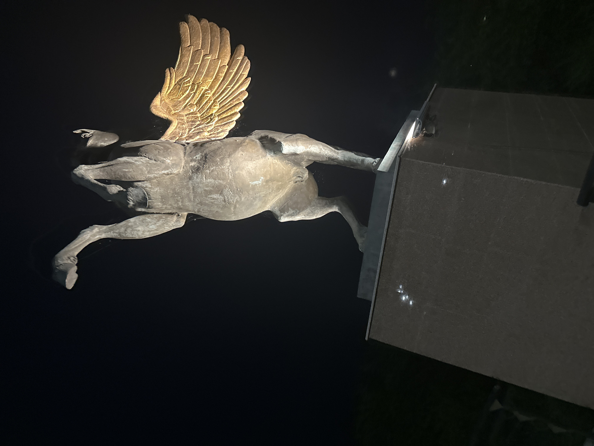 A bronze statue of a winged horse, likely a Pegasus, is illuminated against a dark night sky. The statue stands on a multi-layered pedestal made of dark granite. The winged horse is depicted rearing up on its hind legs, with its front hooves raised. One of its large, feathered wings is extended outwards, catching the light and appearing golden. The statue is located in the city of Kostanay, Kazakhstan, specifically on the embankment of the Tobol River. The area around the statue is dark, with only faint hints of foliage visible in the background. There are no people visible in the image.