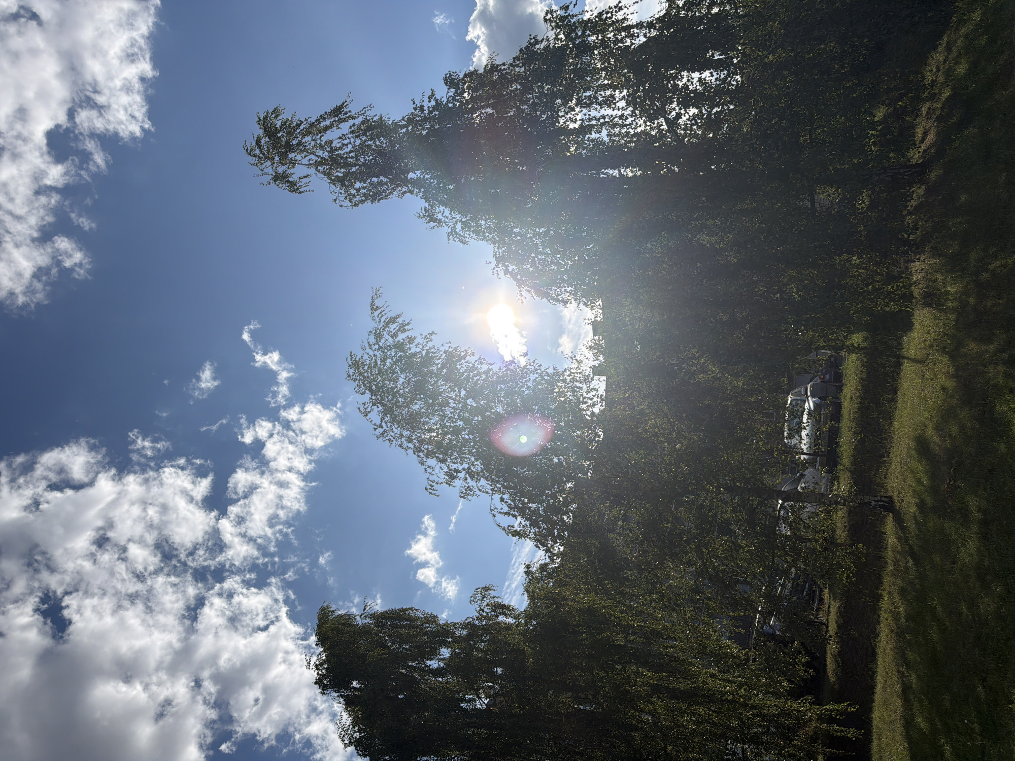 The image depicts a sunny day with a bright sun and scattered white clouds in a blue sky. Three tall trees with green foliage, appearing to be birch trees, dominate the foreground. The sun's rays are shining through the leaves, creating a lens flare effect. In the background, partially visible through the trees, is a parking lot with several cars. The ground in front of the trees is covered with green grass. The scene appears to be a park or an area with trees and a parking lot, possibly in an urban or suburban environment. The specific location in the city of Szczecin, Poland, cannot be determined from the visual information provided in the image.