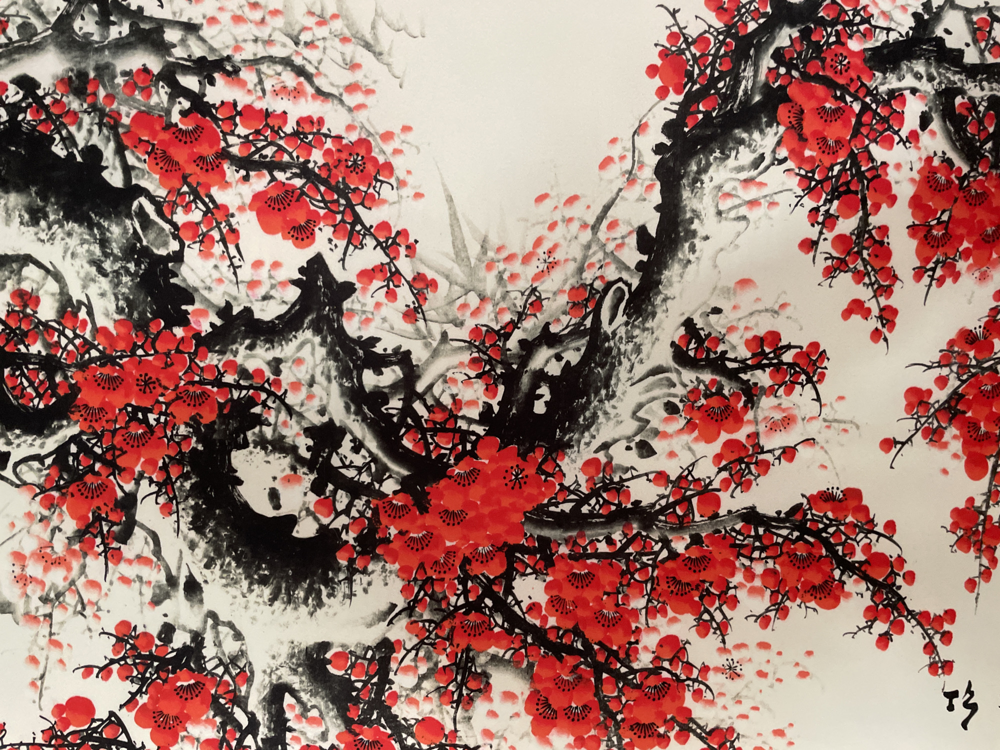 The image is a close-up of a traditional East Asian ink wash painting featuring plum blossoms. The painting is rendered in shades of black and red on a white background. Thick, gnarled branches, painted in dark ink, twist and turn across the frame, creating a sense of dynamic movement. Delicate clusters of bright red plum blossoms and smaller red buds are depicted in vibrant detail, contrasting sharply with the dark branches and the pale background. Some of the blossoms are shown in full bloom with visible stamens, while others are represented by simple red dots, suggesting unopened buds or falling petals. The style of the painting is characteristic of sumi-e, emphasizing expressive brushstrokes and the interplay of ink and color. There is no discernible location in the city of Trikomo, Northern Cyprus / Cyprus depicted in this image, as it is a piece of artwork.