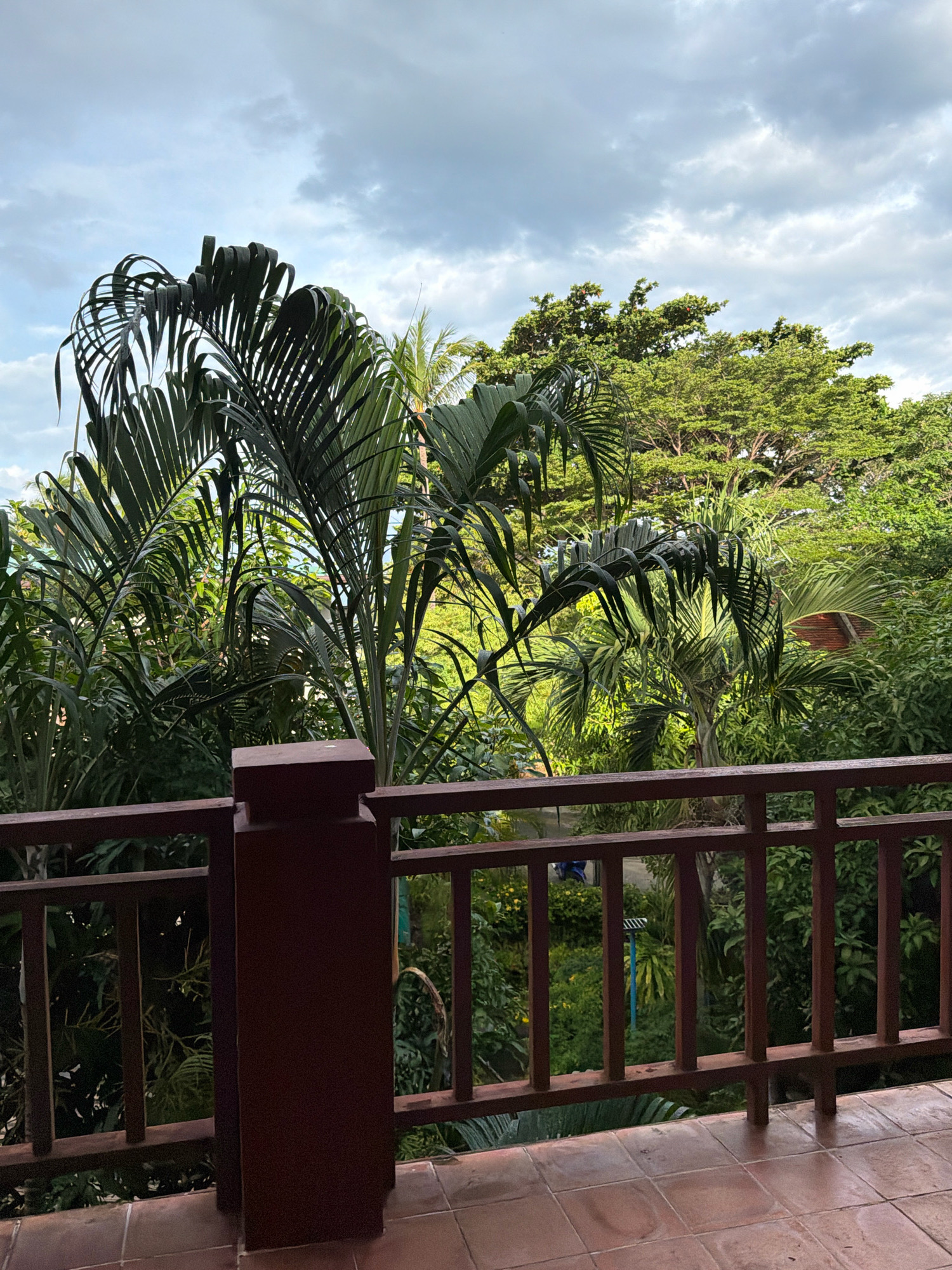 An outdoor perspective from a balcony railing overlooks a dense tropical landscape. The railing, constructed of dark brown wood, features vertical slats and a horizontal top rail. In the foreground, a large, square, dark brown post supports the railing. Beyond the railing, lush green foliage dominates the scene, with large palm fronds prominently displayed. Towering trees with vibrant green leaves form a backdrop, some reaching towards a cloudy sky. The ground below the railing appears to be paved with terracotta-colored tiles. The environment suggests a humid, tropical climate, likely in a natural setting or a well-maintained garden. The image was taken in Ko Samui District, Thailand.