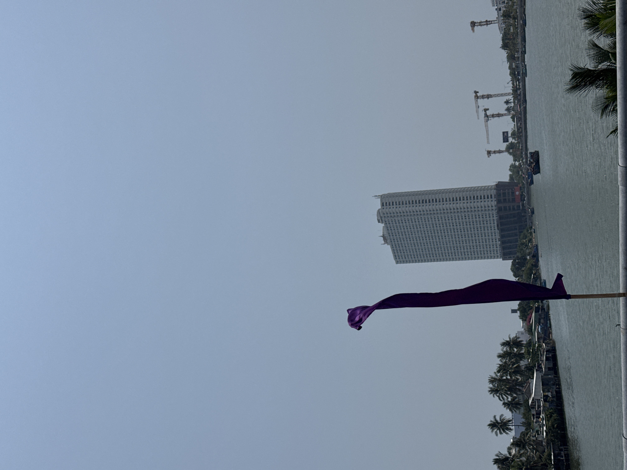 The image shows a waterfront view, with a tall, modern building in the mid-ground and construction cranes visible further along the shoreline. A body of water is present, with trees lining the edge. A purple banner or flag is in the foreground, attached to a pole, which also appears to include palm trees on the right edge of the image.