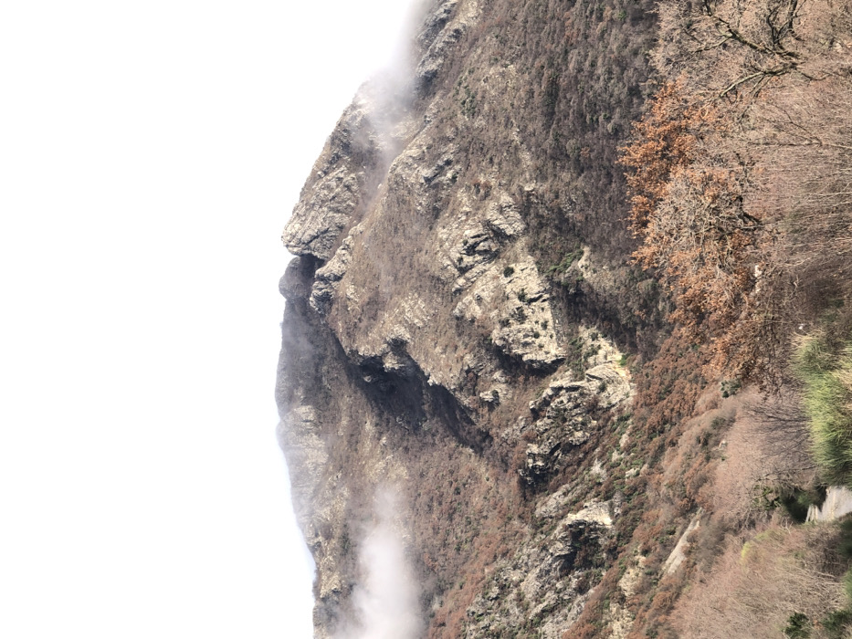 The image depicts a dramatic, rugged mountain landscape in Tuđemili, Montenegro, dominated by a steep, rocky cliff face. The scene is composed with a bright, white sky occupying the left side of the frame, contrasting sharply with the dark, textured rock of the mountain which fills the right.
A striking feature on the left edge of the mountain is a prominent rock formation that distinctly resembles a human profile, facing towards the left. This natural pareidolia shows a clear forehead, a well-defined brow, a noticeable nose, and a chin, creating the illusion of a face emerging from the mountain.
The mountain's surface is covered in sparse vegetation, consisting primarily of deciduous trees and shrubs. Many of these appear bare or bear withered brown and reddish foliage, suggesting a late autumn or winter season. Patches of lighter green vegetation can be seen further down the slope. Swirls of white mist or low-hanging clouds drift across sections of the cliff face, particularly at its base and along its contours, lending an atmospheric and somewhat ethereal quality to the scene.
In the lower right corner of the image, a narrow, winding path or road is faintly visible traversing the lower slopes of the mountain, indicating human presence or access to this rugged terrain. No specific human activity or individuals are depicted. The time of day appears to be daytime, characterized by the bright sky, under misty or cloudy weather conditions. There is no visible text in the image.
