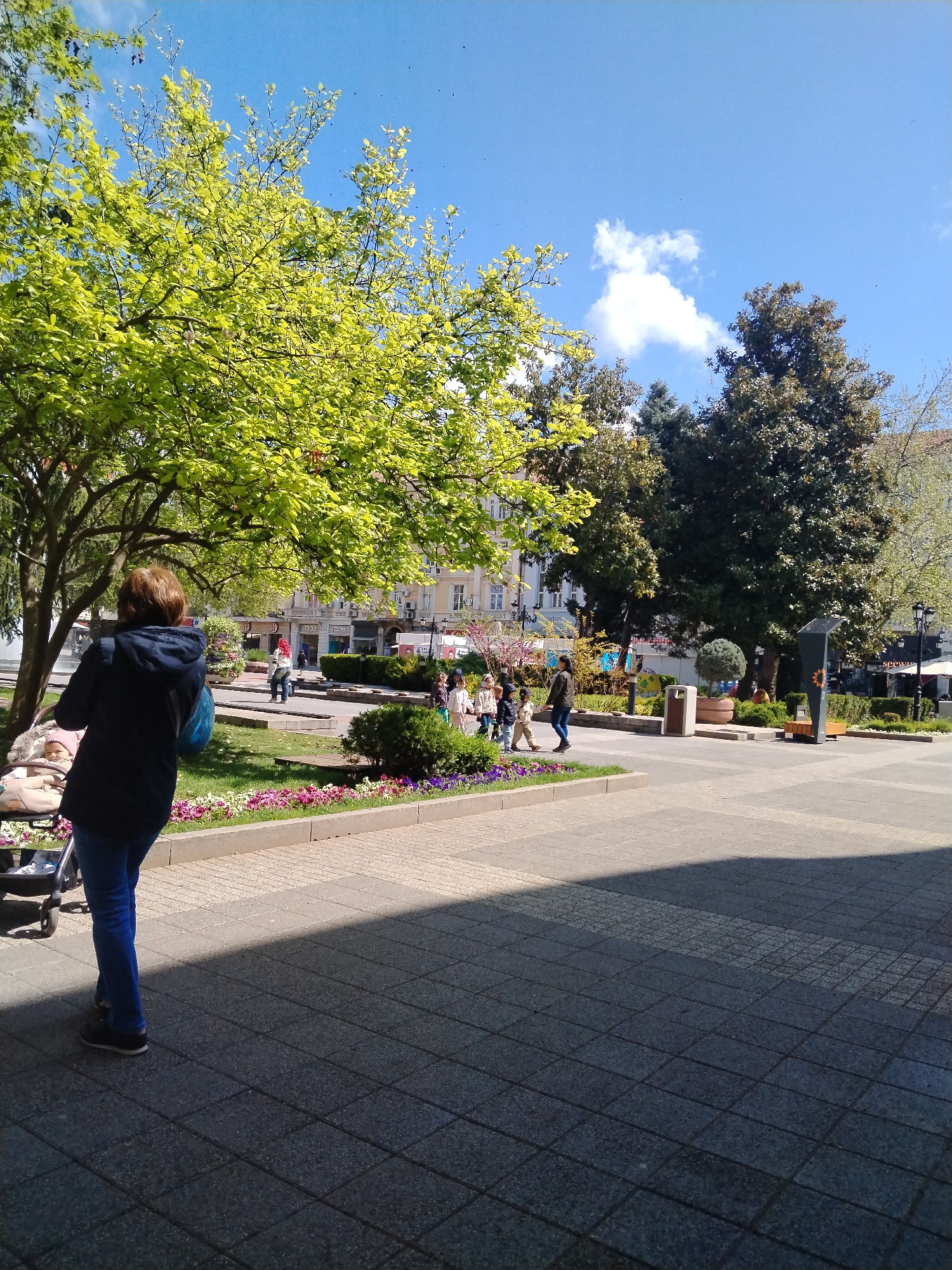 This image depicts a lively urban square or park in Plovdiv, Bulgaria, on a bright, sunny day, likely during late morning or early afternoon given the distinct shadows.
In the foreground, a woman wearing a dark jacket and blue jeans walks away from the viewer, pushing a stroller with a baby inside, who is partially visible wearing a pink hat. The paved ground she walks on is a mosaic of square tiles, with a significant portion cast in shadow. To her left, a prominent tree with abundant, light spring-green foliage extends across the frame.
The midground features a landscaped area with a strip of vibrant pink and purple flowers bordering a grassy section. Beyond this, a paved path winds through the park where several people are visible: a small group of children walking together, accompanied by adults. Various other trees with darker green leaves and evergreens are scattered throughout this area. Elements like a wooden bench, a trash can, and a modern dark pillar or display are also present.
In the background, light-colored multi-story buildings line the square, indicating an urban setting. Visible text on signs includes "ICOO" on a building façade and "seewa" on a street-side sign. The sky above is a clear, brilliant blue with a single fluffy white cloud. The scene suggests a pleasant public space being enjoyed by people during springtime.