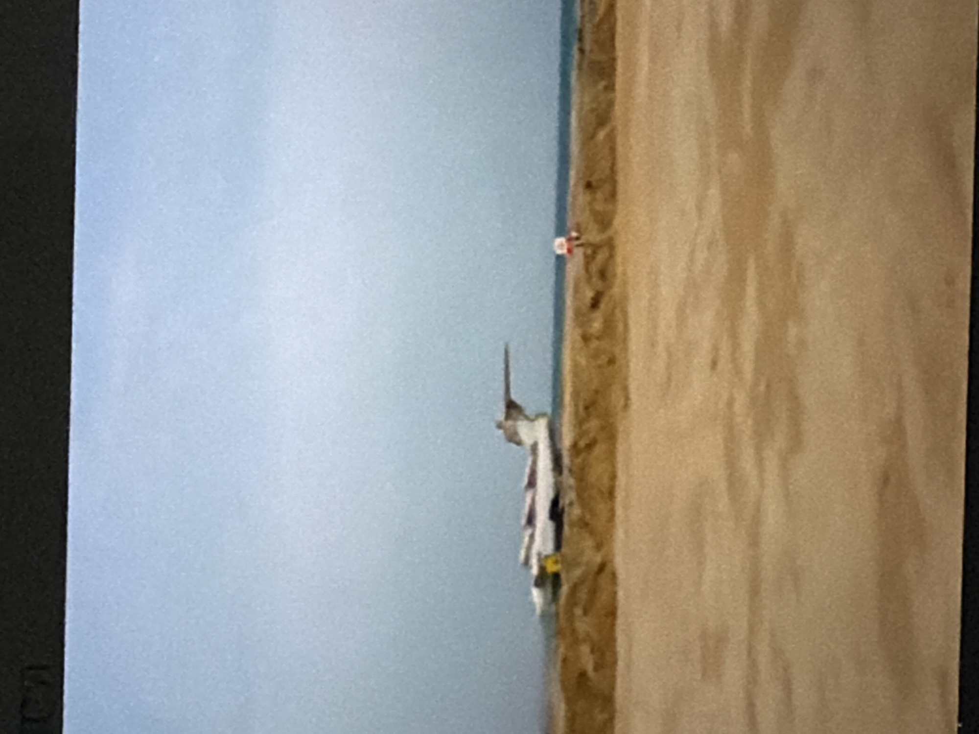 The image depicts a vertical view of a beach scene. On the left side, a vast expanse of light blue sky dominates, suggesting clear weather. A thin strip of dark blue water is visible along the horizon line separating the sky from the beach. The right side of the image features a sandy beach with subtle textures and variations in tone, indicating dry sand.
In the middle ground of the image, a few objects are present on the beach. A small, red and white marker or sign is visible, planted in the sand. Further to the left and slightly lower, a collection of items, possibly towels or clothing, are draped over what appears to be a thin, dark object, perhaps a piece of driftwood or a support pole. The overall impression is a tranquil beach setting, possibly during daytime given the bright sky. The orientation of the image is vertical. No people are clearly visible.
