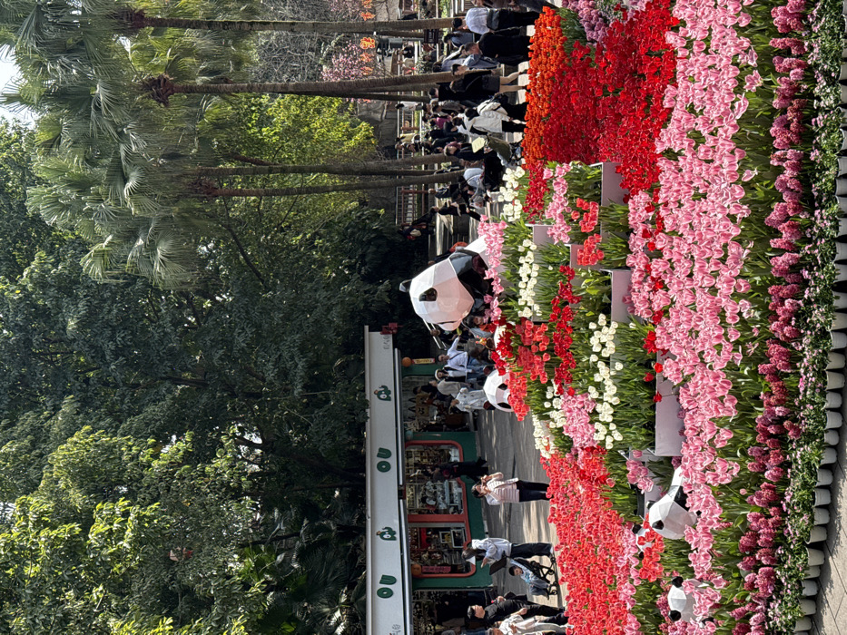 This image captures a bustling outdoor public park or garden scene within Jiulongpo District, China. The foreground and midground feature an extensive, multi-tiered floral display composed primarily of red, pink, and white tulips arranged in beds and white rectangular planters. Several large, polygonal white and black panda sculptures are integrated into the display; one prominent panda is positioned at the upper right of the flower arrangement, and two smaller pandas are visible among the lower pink tulips on the left. Along the bottom edge, rows of smaller potted flowering plants, possibly hyacinths, line the pathway.
Numerous individuals, dressed in casual attire, are present throughout the scene. They are seen walking, standing, and observing the floral arrangements and panda sculptures. On the left, one person pushes a child in a stroller, and another individual holds a phone up, seemingly capturing an image. In the background to the left, a single-story building with a white facade and green accents features large windows and signage including the letters "ou" and cartoon panda-like graphics, indicative of a retail establishment. This building is partially obscured by dense green foliage. To the right, a cluster of tall palm trees with slender trunks stands against a backdrop of additional green trees and subtle distant park structures, including what appears to be a red lantern. The scene is illuminated by bright daylight, suggesting a clear day.