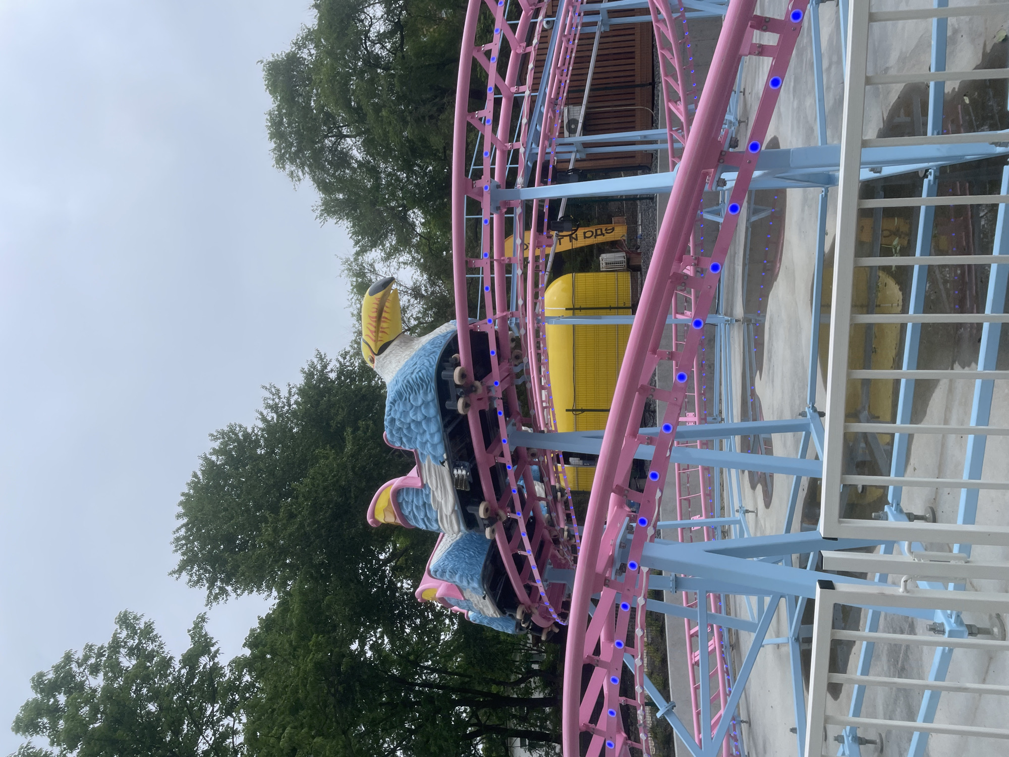 An amusement park scene in Vladivostok, Russia, depicts a vibrant children's roller coaster under an overcast, grey sky. The roller coaster features a bright pink track equipped with evenly spaced blue LED lights, supported by light blue steel structures. The ride's trains consist of three visible cars, each uniquely designed as a large bird, likely a pelican or toucan, with textured blue bodies, white/light blue wings, and prominent yellow beaks accented with orange. The cars are unoccupied. The ground beneath the ride is a wet, light grey concrete or asphalt surface, reflecting the blue lights and pink track in numerous puddles, indicating recent rainfall. Dense green trees form a lush background, suggesting a park-like environment. In the mid-ground, a bright yellow, semi-circular structure is partially visible behind the roller coaster track, with a dark wooden fence or building further in the background to the right. A white metal barrier fence with vertical bars is present in the foreground, separating the viewer from the ride area. No individuals are visible in the frame.