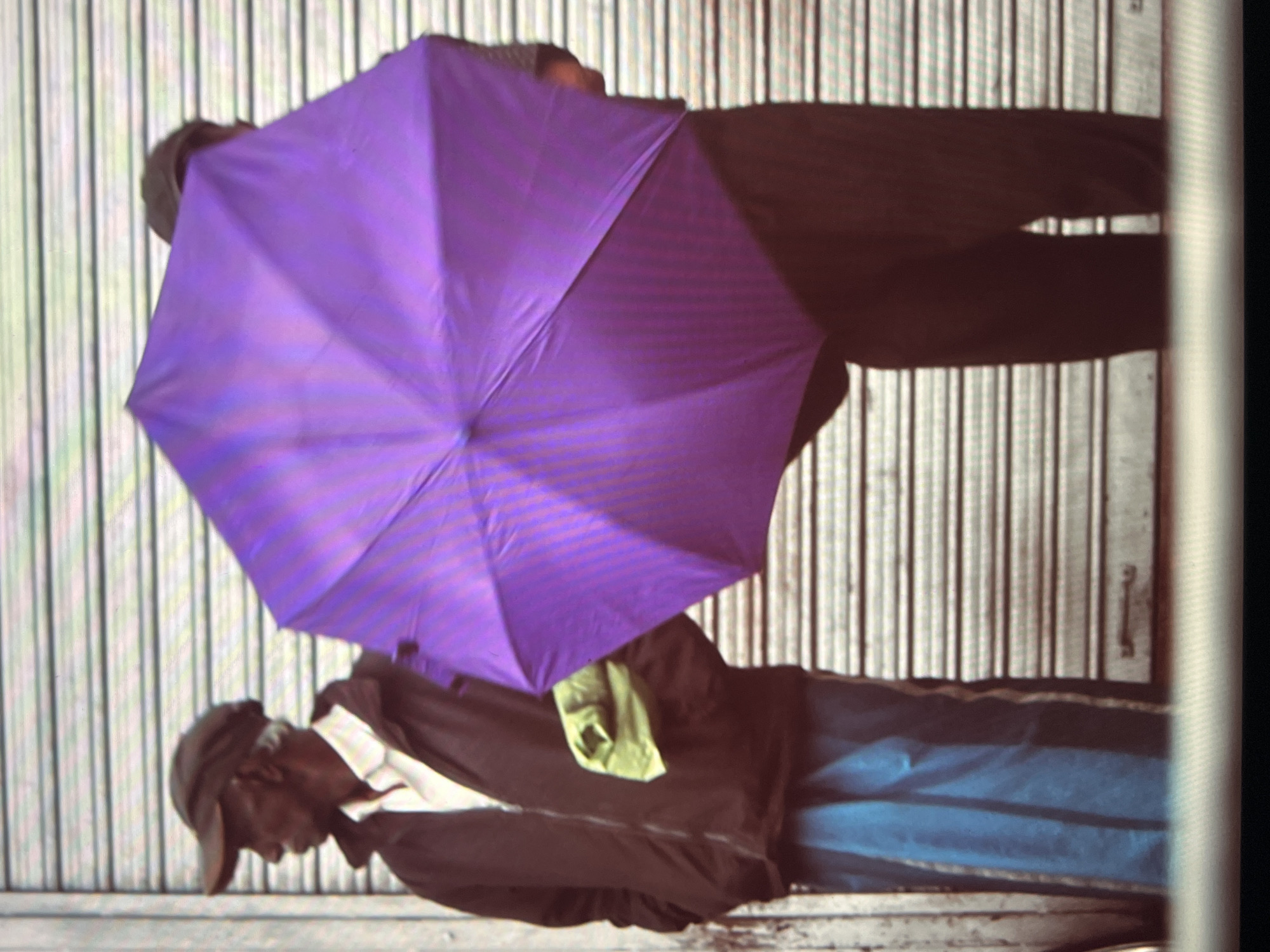 An image, rotated sideways, depicts two individuals standing outdoors against a vertically striped background, resembling a corrugated metal wall or a roller shutter door.
In the foreground, a person wears a dark jacket over a white collared shirt, blue track pants with vertical stripes, and a dark cap. A bright green cloth is draped over their right arm or shoulder, and their head is tilted downwards, obscuring their face.
Behind and slightly to the left of the first person, another individual is partially visible, dressed in dark clothing and a cap. This person holds a large, open, bright purple umbrella directly above them, providing cover for both.
The setting appears to be an urban outdoor environment, possibly an alleyway or a street next to a building. The open umbrella suggests a need for protection from either sun or light rain, though the lighting is soft and does not strongly indicate specific weather or time of day. No text is visible in the image. The overall image quality is somewhat soft, with visible digital artifacts such as vertical banding.
