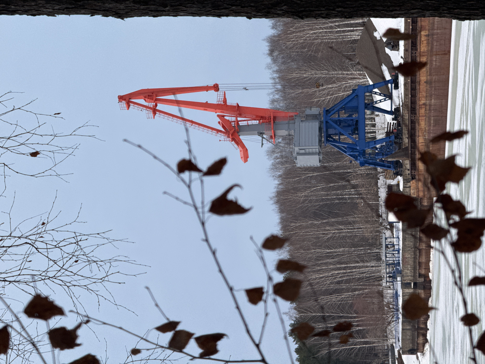 The image shows a view of a large crane in Chaikovsky, Russia. The crane is primarily red with a blue base and is situated near a waterway covered with ice and snow. On the banks of the waterway are bare trees. A foreground of bare branches with brown leaves obscures a portion of the view, suggesting the photograph was taken from behind some foliage. The top of the frame is a dark, textured surface, possibly a building or a tunnel.