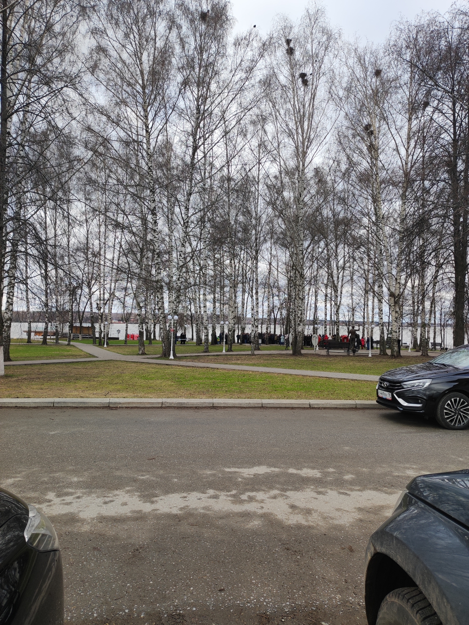 The image shows a park area in Votkinsk, Russia. The park features a dense stand of bare birch trees with many small bird nests visible in their branches. A paved path intersects with grassy areas, leading toward what appears to be a lake or river in the background. Several people are gathered in the park, some standing and others seated on benches. Two parked black cars are visible in the foreground on a street, one partially obscured in the lower left and the other more prominently displayed on the right, showing the front of the vehicle and a partial license plate. The sky is overcast, giving the scene a dull light.