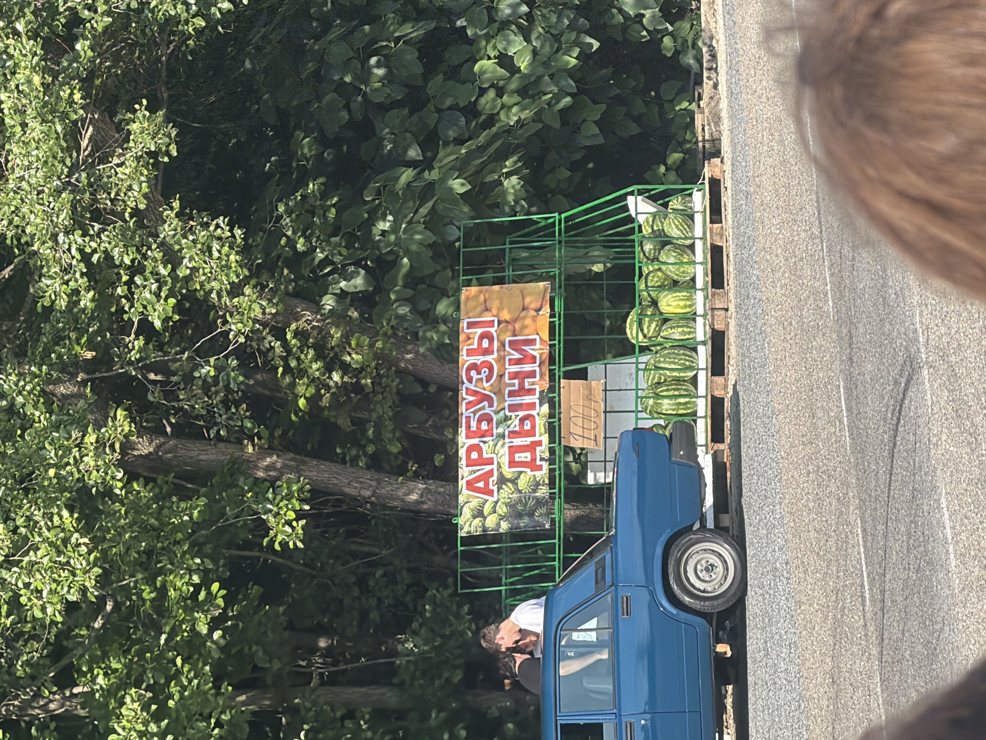 A vertical, outdoor shot shows a roadside fruit stand in Sochi, Russia, on a sunny day. The stand displays a large assortment of watermelons and melons, neatly arranged on green metal racks. A blue car is parked alongside the stand, with a portion of its side and wheel visible. A person is leaning into the car's open window, seemingly engaged in a conversation.
A prominent sign with Cyrillic lettering in red and white reads "АРБУЗЫ ДЫНИ," which translates to "Watermelons Melons." Below this, a smaller sign shows "100р," indicating a price of 100 Russian rubles. The background is filled with lush green trees and foliage, suggesting a natural, possibly rural or park-like setting. The overall scene evokes a sense of commerce and daily life in a warm climate. The light suggests it is daytime.