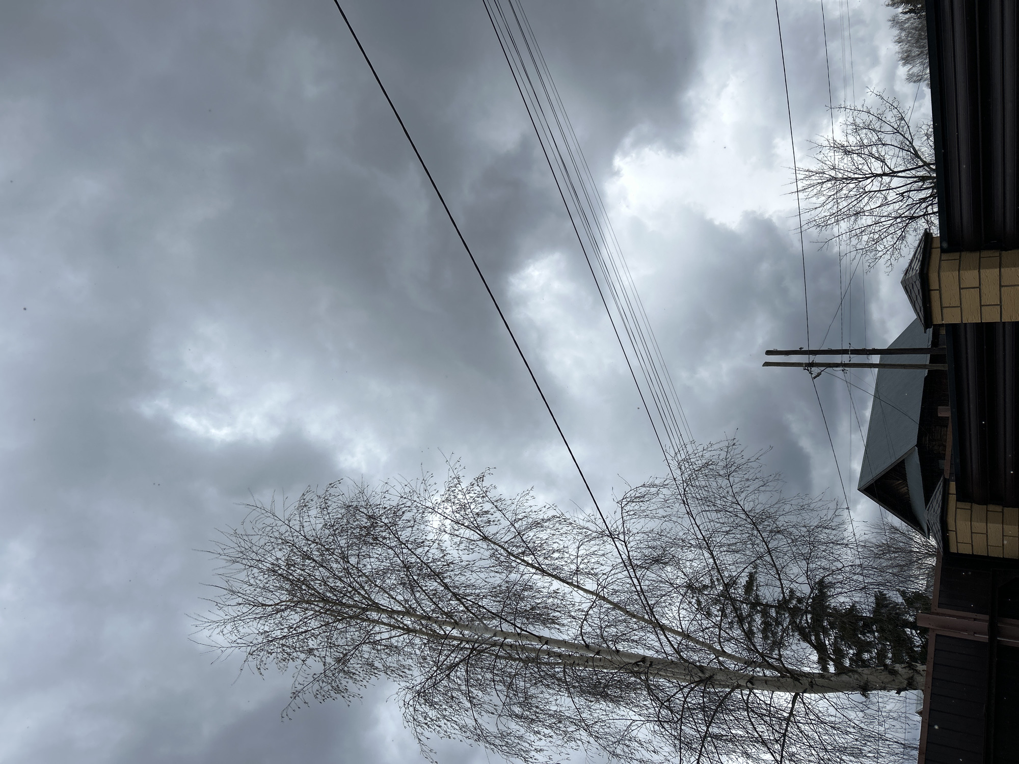 The image captures a gloomy, overcast sky dominating the frame, characteristic of a heavily clouded day in Chaikovsky, Russia. The sky is filled with varying shades of grey clouds, from lighter patches to darker, heavier formations. Numerous black utility lines crisscross the upper and middle portions of the sky, running diagonally from left to right.
In the foreground, a prominent bare deciduous tree, likely a birch given its light-colored bark visible in the wider view, extends its intricate network of branches and twigs across the left side of the image. Its branches are devoid of leaves, indicating late winter or early spring. Behind this tree and to the right, the tops of coniferous trees are also visible.
On the right side of the frame, parts of structures are visible. The corner of a building, possibly a house or shed, features a dark, corrugated roof and a section of light brown brick or stone cladding. Below it, another dark-sided structure with horizontal siding is partially seen. A utility pole with crossarms and insulators stands on the right, connecting to some of the overhead lines.
The overall atmosphere is quiet and somewhat somber due to the heavy cloud cover and bare trees. There are no people visible, and no specific activity is taking place. Small, faint specks appear against the darker clouds, which could be very light snow or sleet, adding to the wintery or early spring feel. No visible text is present in the image.