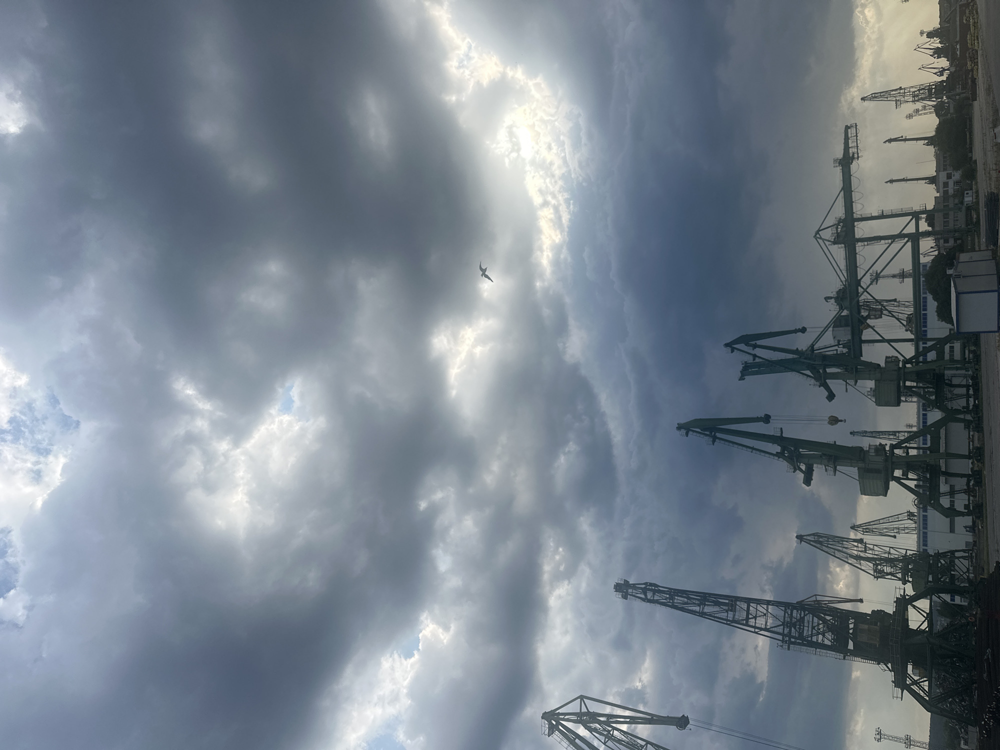 An outdoor, eye-level, wide shot shows a harbor with many cranes under a stormy, cloudy sky. The sky is dark and ominous, with patches of light breaking through the clouds. In the distance, a single bird is flying through the sky. The cranes are tall and industrial, and they are arranged in a line across the frame. Some of the cranes are silhouetted against the sky, while others are illuminated by the sunlight. The overall mood of the image is dramatic and foreboding.