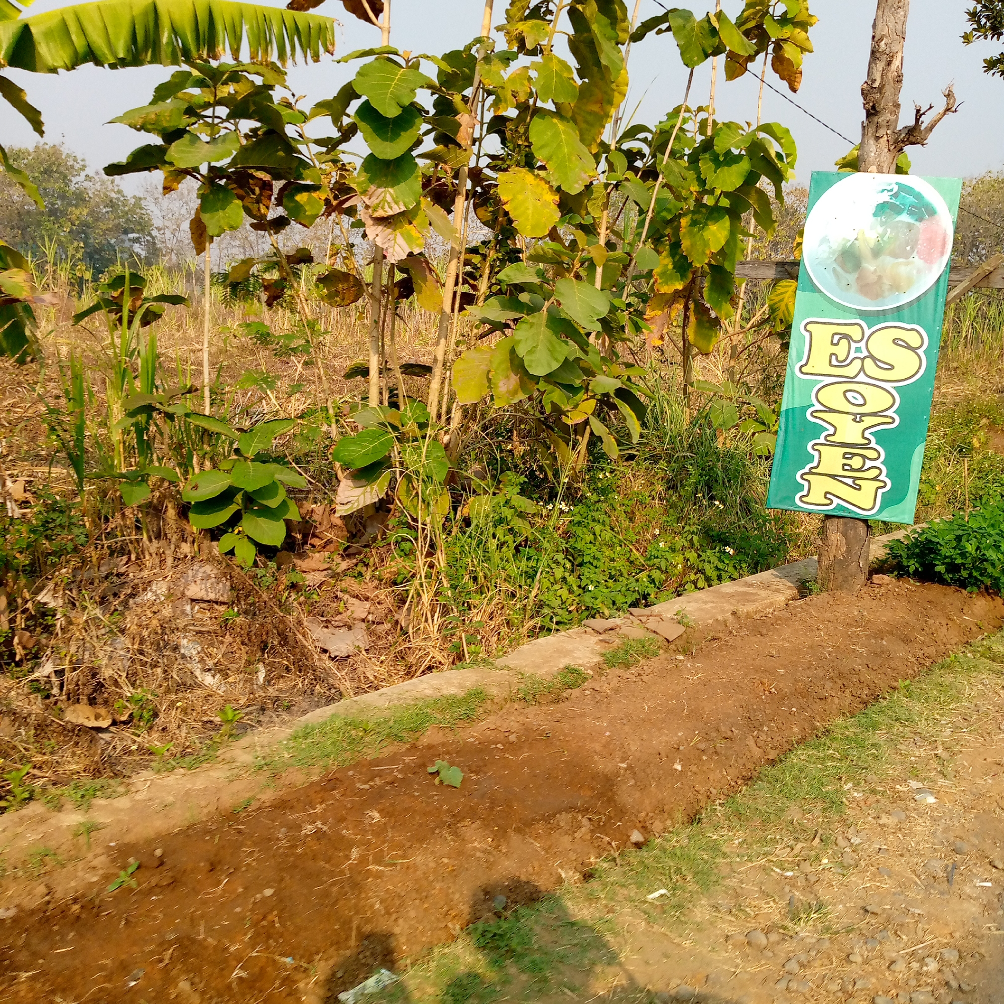 The image shows an outdoor scene with vegetation and a sign. In the foreground, there is a patch of brown soil with some small green plants growing. To the right of the soil, there is a green sign with yellow text that reads "ES OPEN". The sign also features a circular graphic of a globe with colorful swirling patterns, possibly representing an ice dessert or beverage. Behind the sign, a weathered wooden post supports it. The background consists of dry grass, tall green stalks of what appears to be sugarcane, and leafy green trees. The overall environment suggests a rural or semi-rural setting, possibly in a location like Tambakagung, Indonesia, where such vendors might be found. The lighting indicates it is daytime, with sunlight casting shadows. There are no people visible in the image, and no specific actions or interactions are depicted.