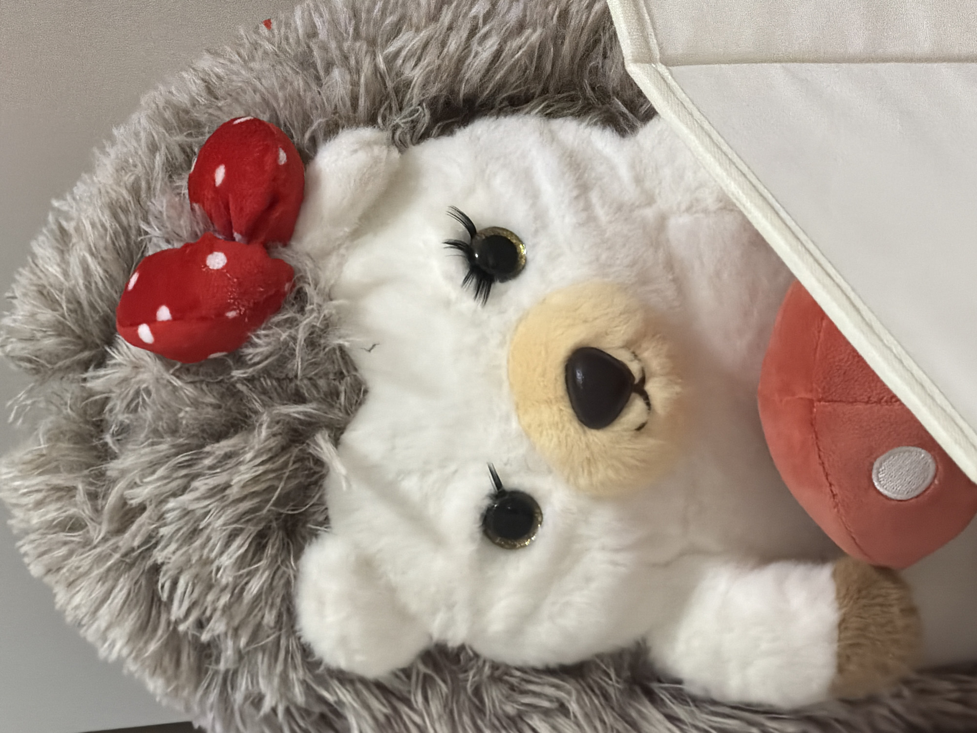 This media file features a close-up view of a plush toy hedgehog. The hedgehog is predominantly white with gray, furry spines. It has black, glittery eyes with long lashes, and a light brown snout. Two red bows with white polka dots are attached to the top of its head, positioned like ears. A small, red, mushroom-shaped object with white spots is also visible near the hedgehog's head. Part of a white, structured object, possibly a box or container, is visible in the upper right corner, casting a shadow. The plush toy is resting on a textured surface, also gray and furry. The lighting suggests an indoor setting, with no specific time of day or weather conditions discernible. No text is visible in the image. The overall impression is of a cute and whimsical object, likely a toy intended for children.