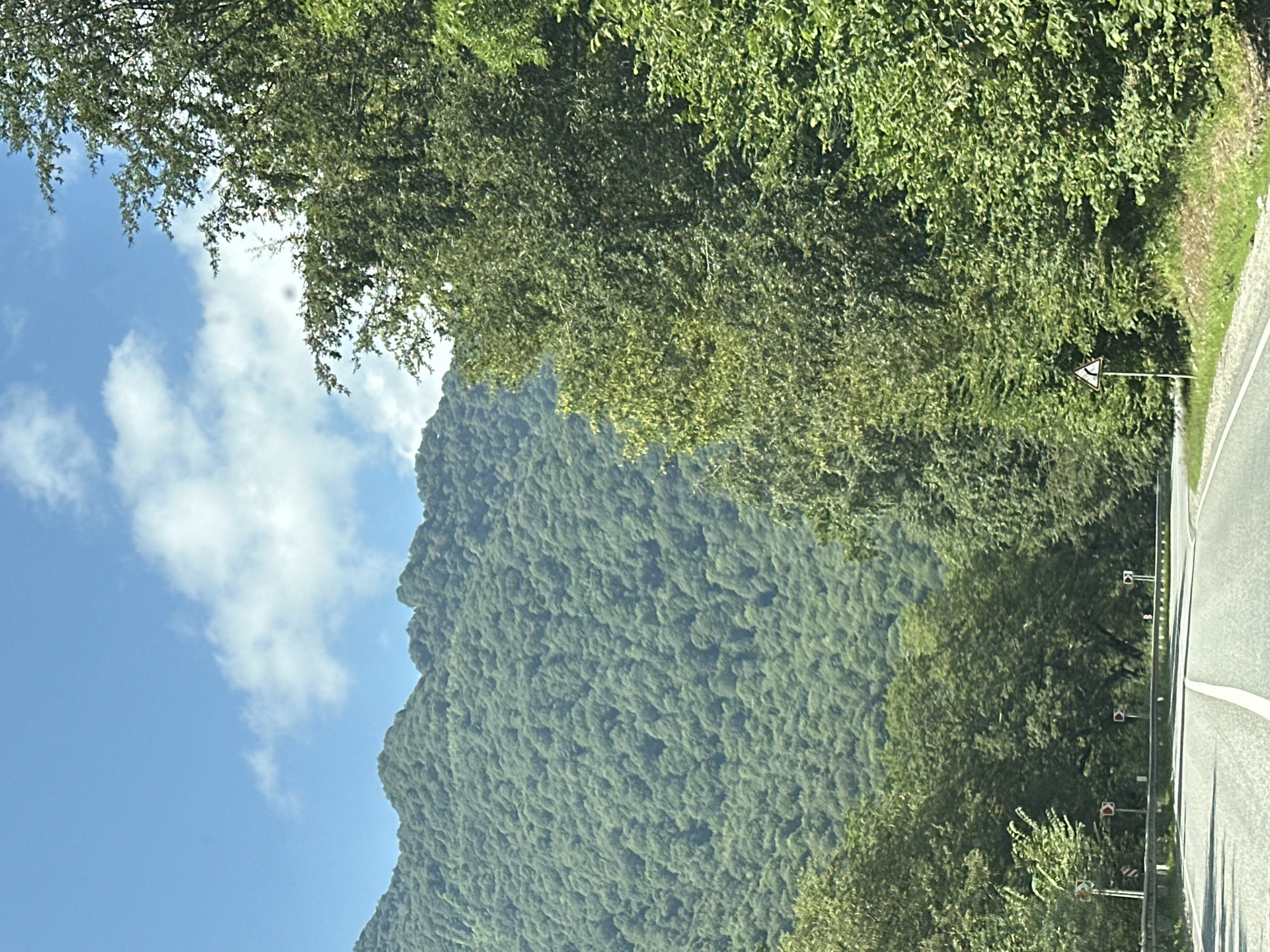 The image depicts a mountainous, forested landscape on a sunny day, likely near Nizhnii Arkhyz, Russia, given the context. A paved road curves through the scene, bordered by lush green trees. Traffic signs are visible along the roadside. In the distance, a large, densely wooded mountain rises against a bright blue sky dotted with white clouds. The overall impression is one of natural beauty and a rural setting.