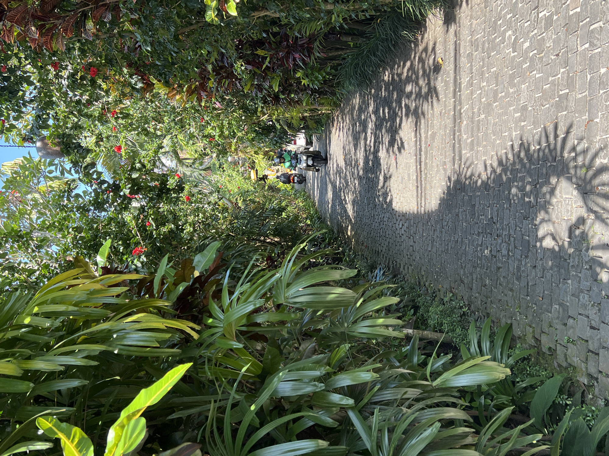 The image shows a narrow brick-paved road in Petulu, Indonesia, framed by dense tropical vegetation on both sides. The road leads into the distance where two motorbikes with riders wearing helmets can be seen. Shadows of the trees and foliage pattern the road surface. The foreground is filled with lush green plants, including palm-like leaves, obscuring the view and emphasizing the dense natural environment. The sky is only visible in a small area, peeking between the trees. The overall impression is a path through a verdant, tropical setting.