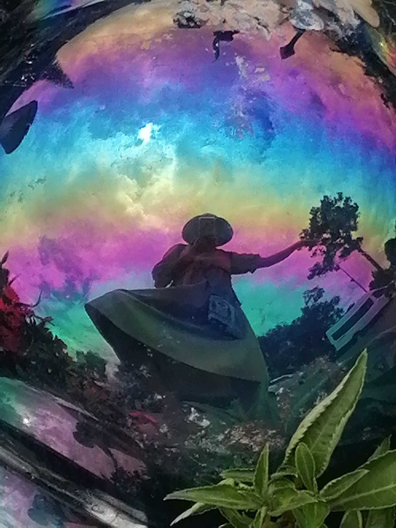 The image is a fisheye lens reflection within a spherical object, likely a decorative glass orb or a similar shiny, curved surface. The reflection captures a scene with at least two people and surrounding foliage.
The primary subject in the reflection is a person wearing a hat and a dress, seemingly reaching out towards a tree. This figure is centrally positioned in the reflected scene. To the right, another person appears to be holding what looks like a long, thin object, possibly a fishing rod or a stick. The background of the reflection shows a vibrant, abstract sky with swirling colors of blue, purple, pink, and yellow, suggesting a painted backdrop or a surreal atmospheric effect. Behind the people, trees and darker foliage are visible, indicating an outdoor setting.
In the foreground of the actual image, outside the reflection, a lush green plant with pointed leaves is prominently featured, its texture and vibrant green contrasting with the colors within the orb.
The time of day is not explicitly evident, but the bright and varied colors in the reflected sky could imply daylight with colorful lighting conditions. The weather is indeterminate from the image. The location context of Da Lat, Vietnam, might suggest a park, garden, or a place with decorative elements, given the presence of the orb and the foliage.
There is no visible text in the media file. The overall impression is artistic and abstract due to the distorted perspective of the fisheye lens and the vibrant colors.